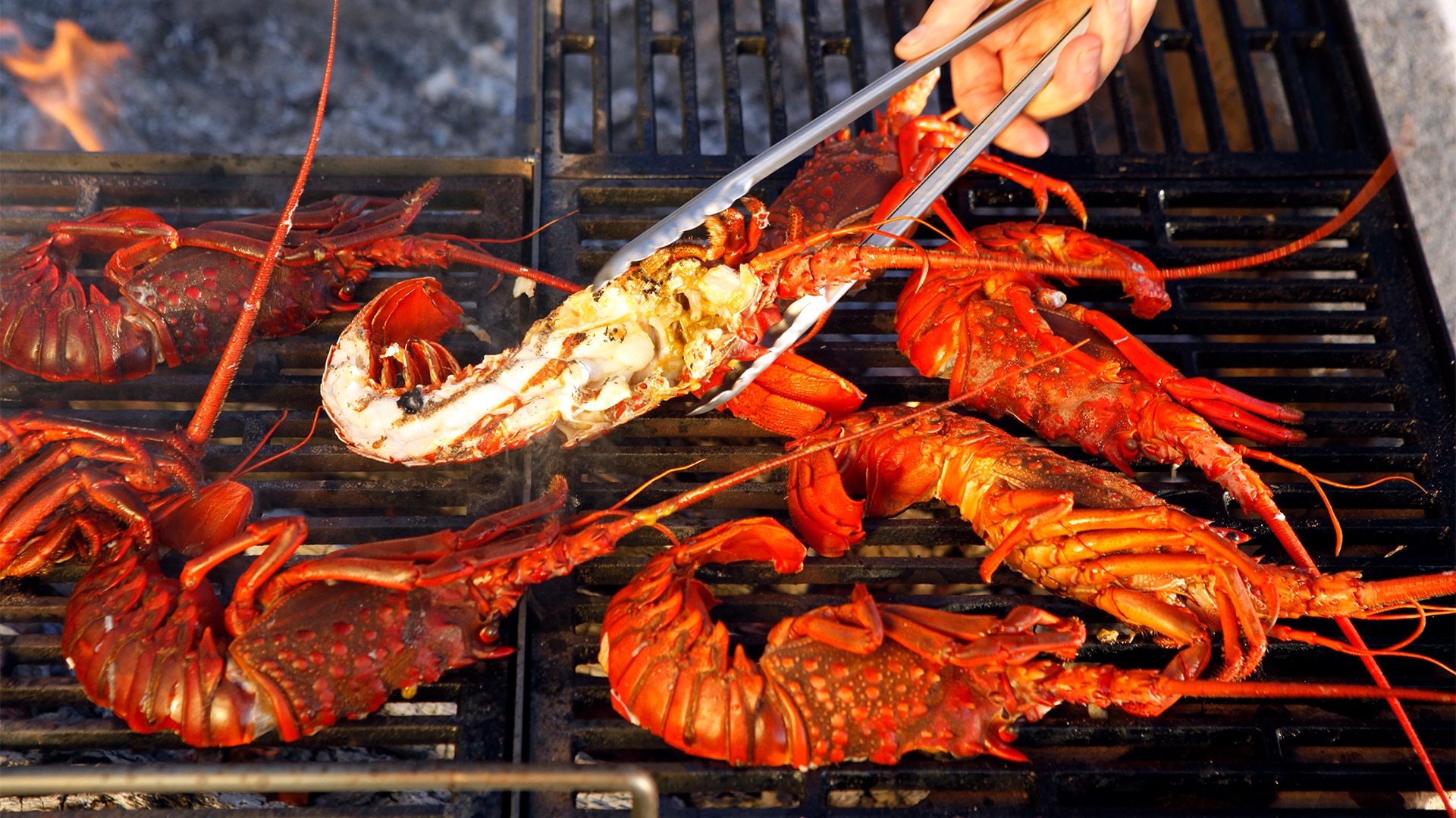 How To Be A Barbecue King By The Chefs That Know Best The Journal