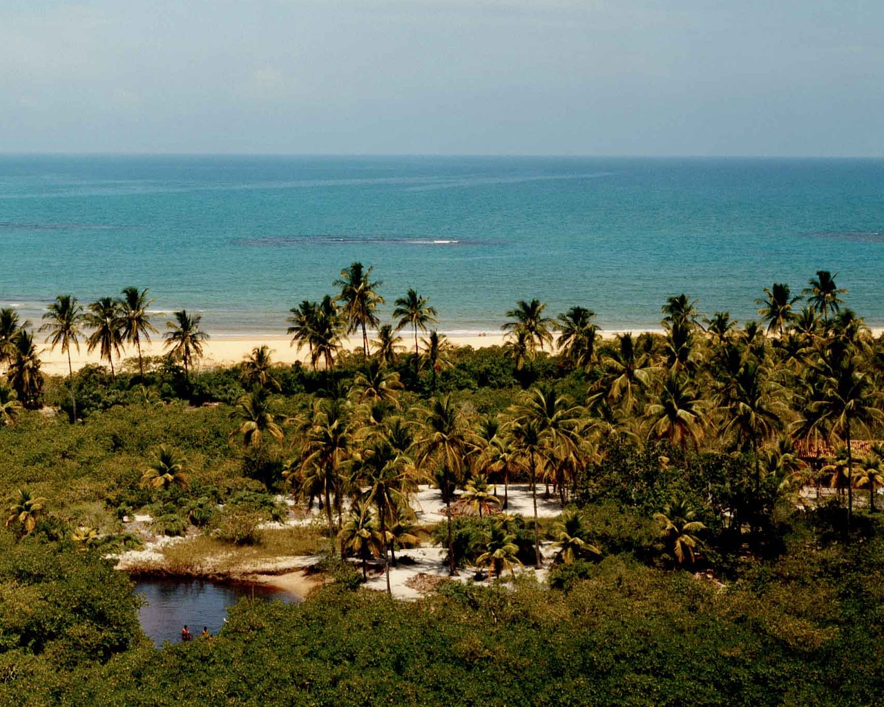 In Brazil: Unspoiled Beach Fit for the Chic - The New York Times