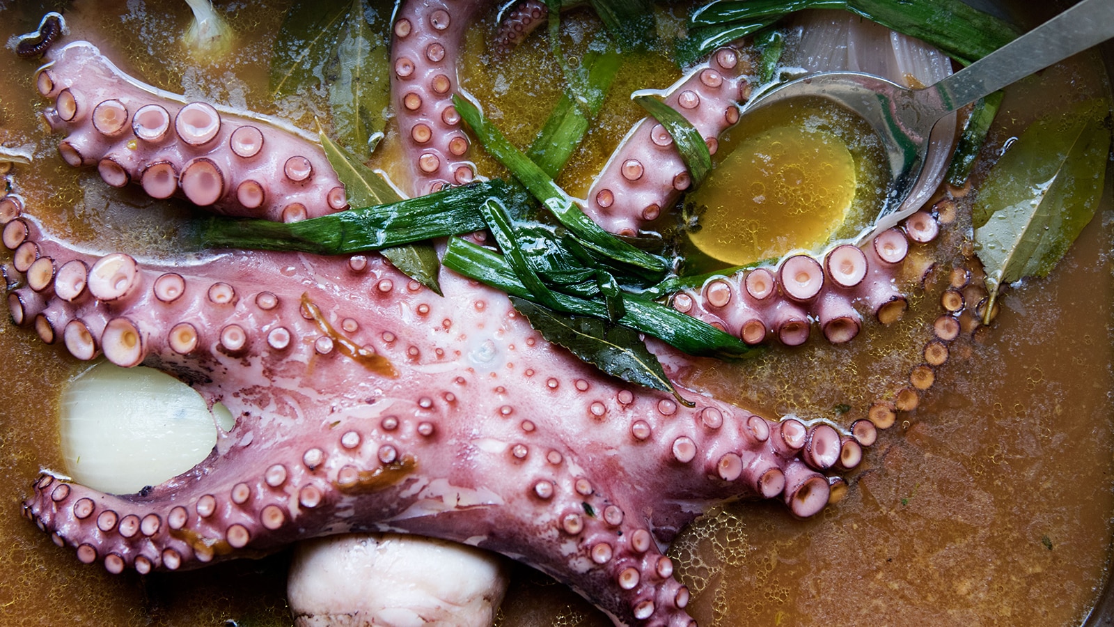 Where To Eat The World’s Most Exciting Seafood | The Journal | MR PORTER