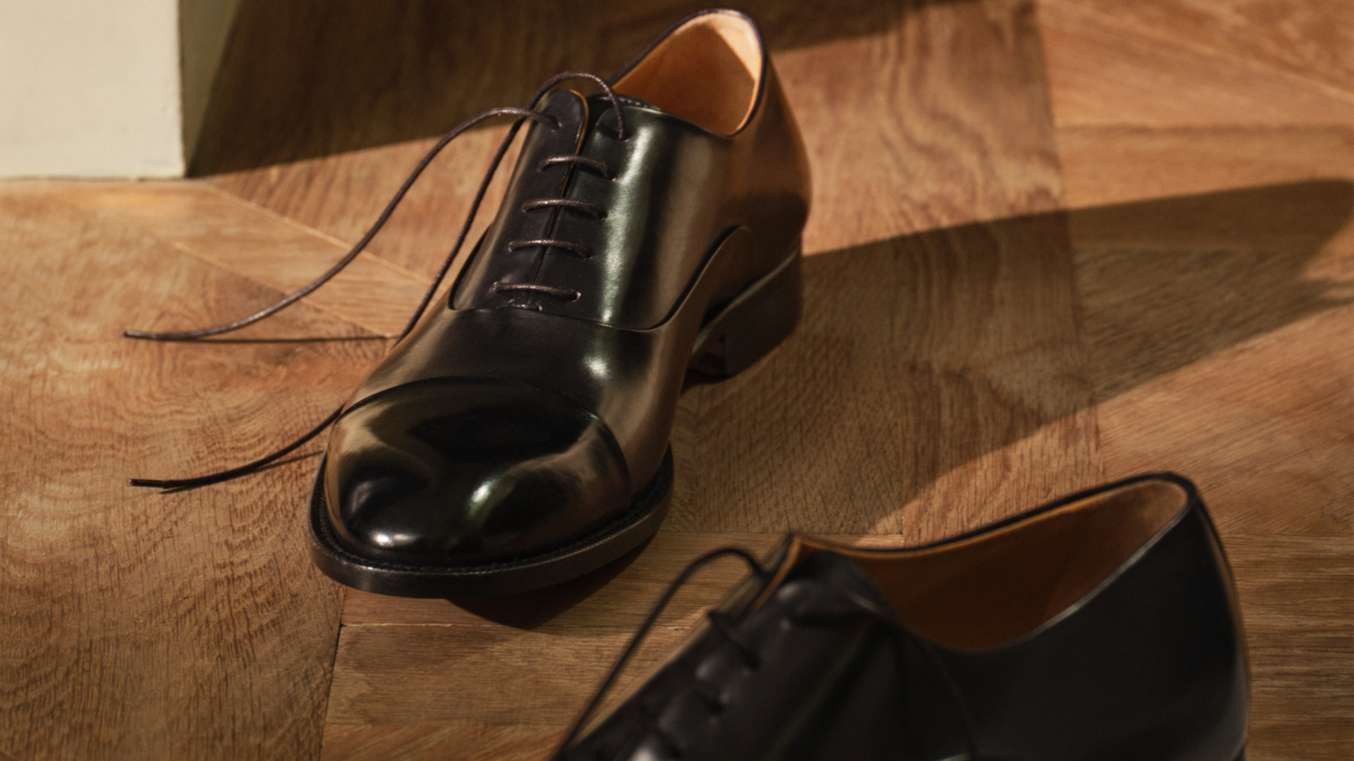 Mr P. [June Still Life] (1)