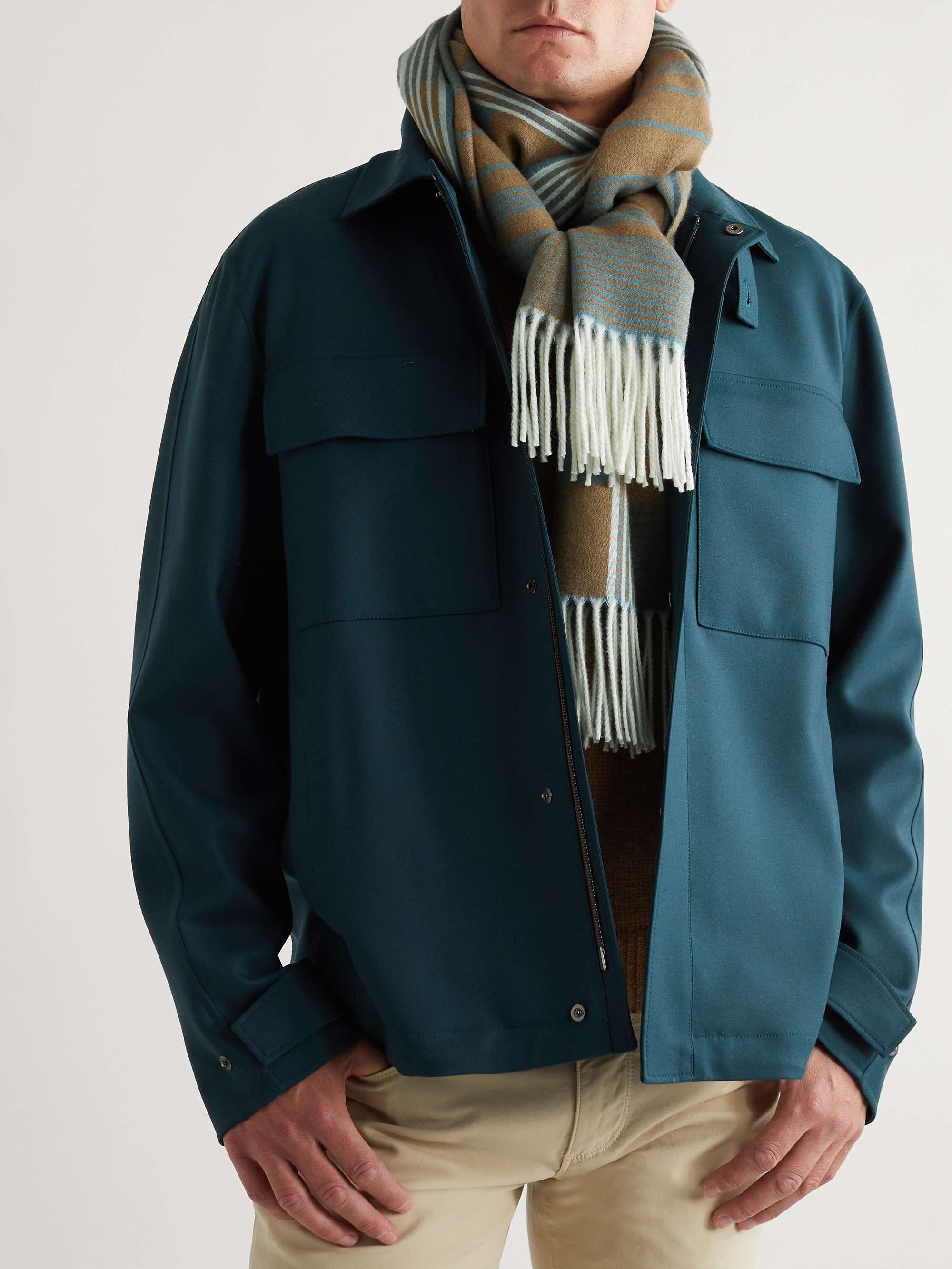 LORO PIANA Fringed Striped Cashmere Scarf