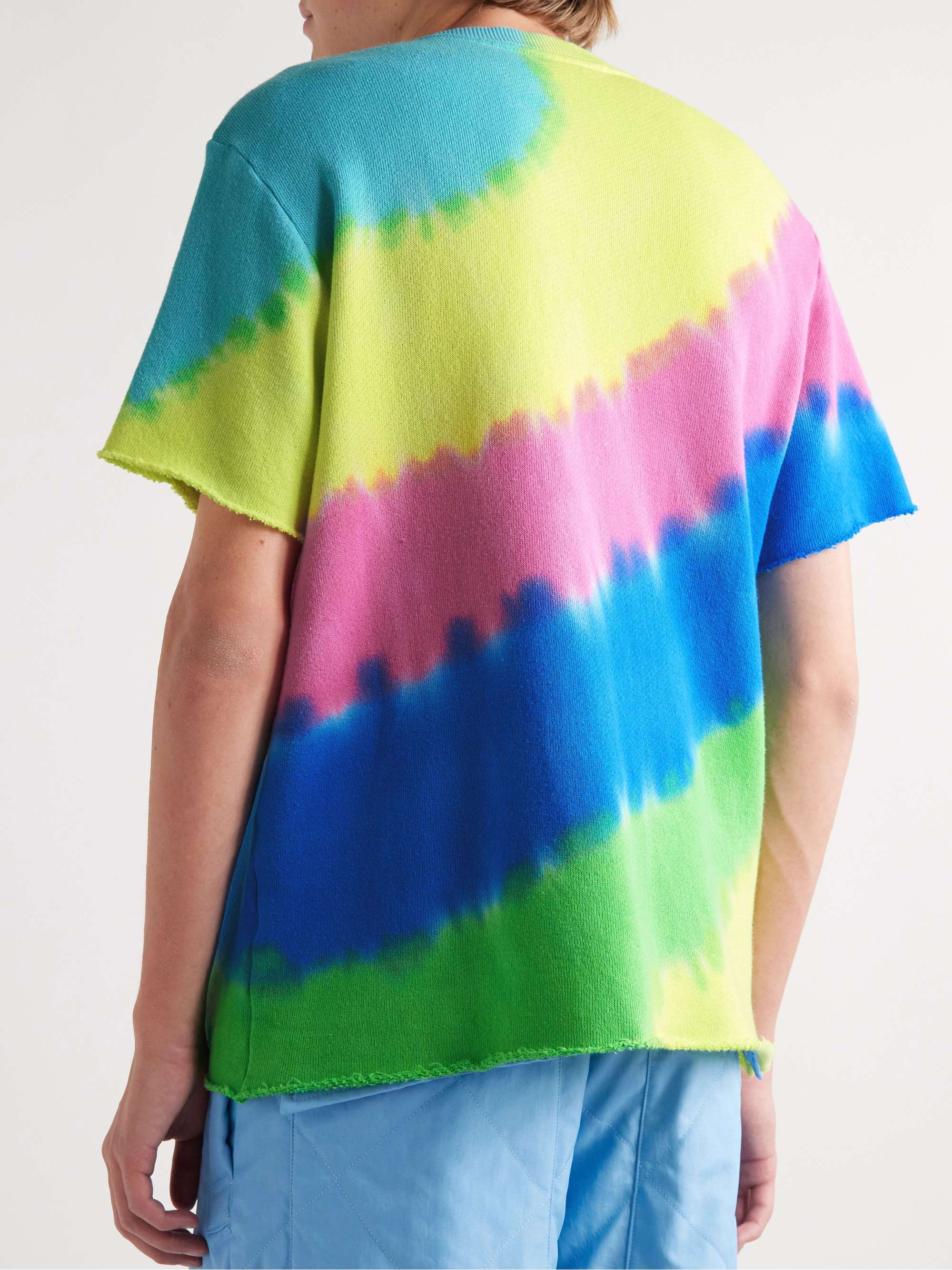 THE ELDER STATESMAN Rainbow Void Tie-Dyed Cotton and Cashmere-Blend Jersey T-Shirt