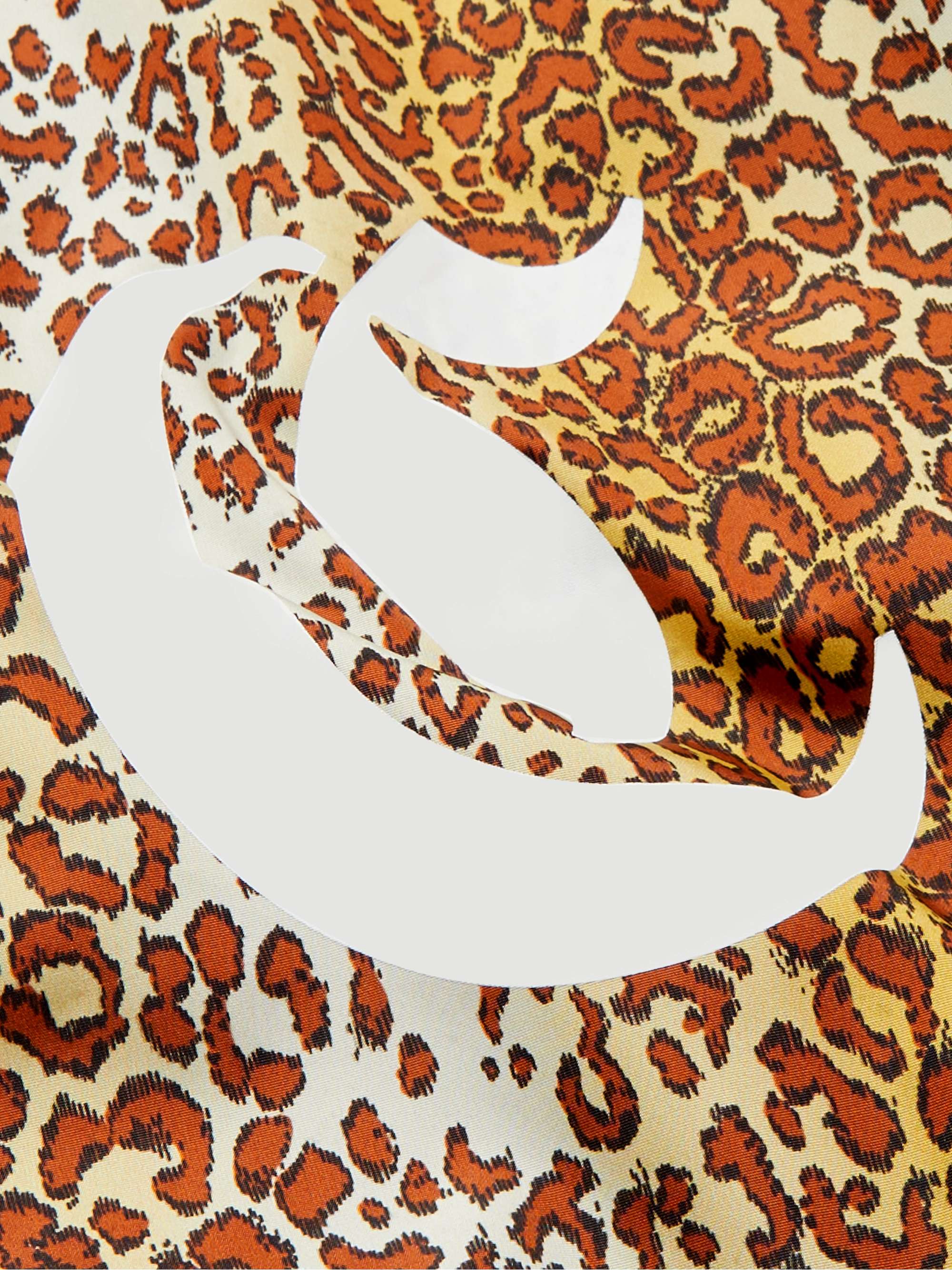 CELINE HOMME Logo-Print Leopard-Print Shell Coach Jacket