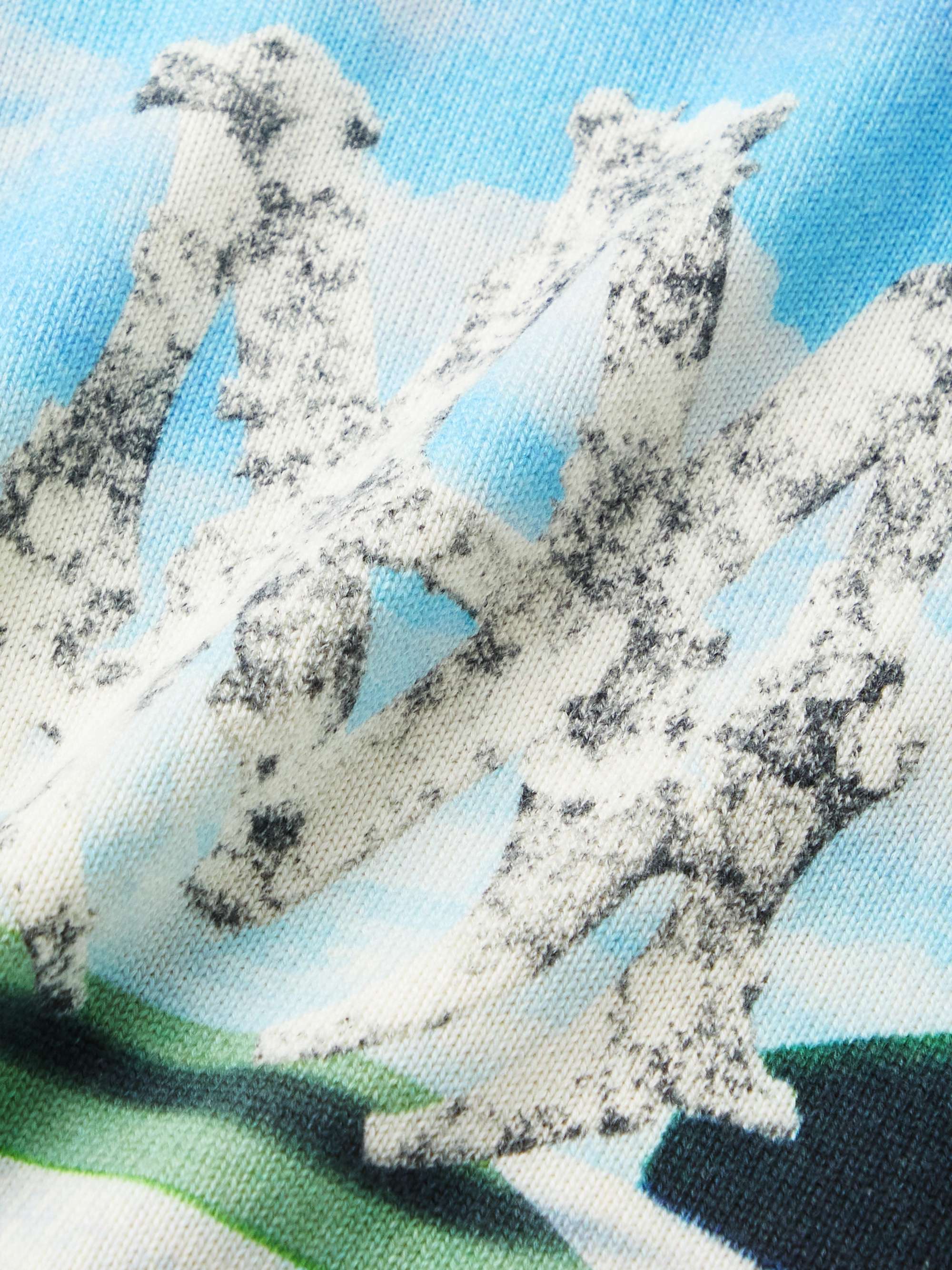 AMIRI Printed Cotton and Cashmere-Blend Sweater