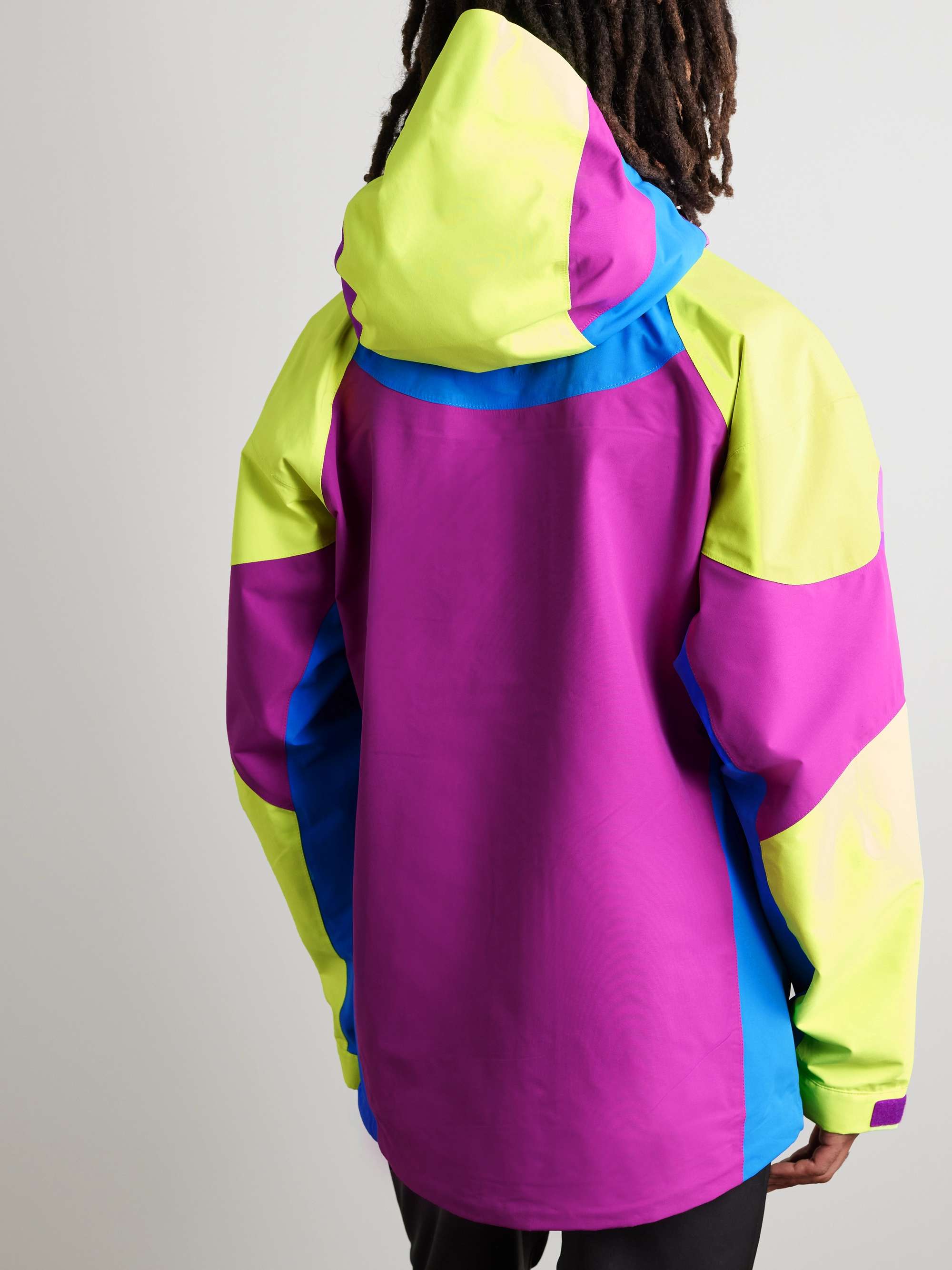 THE NORTH FACE 3L Carduelis Logo-Embroidered Panelled Shell Hooded Jacket