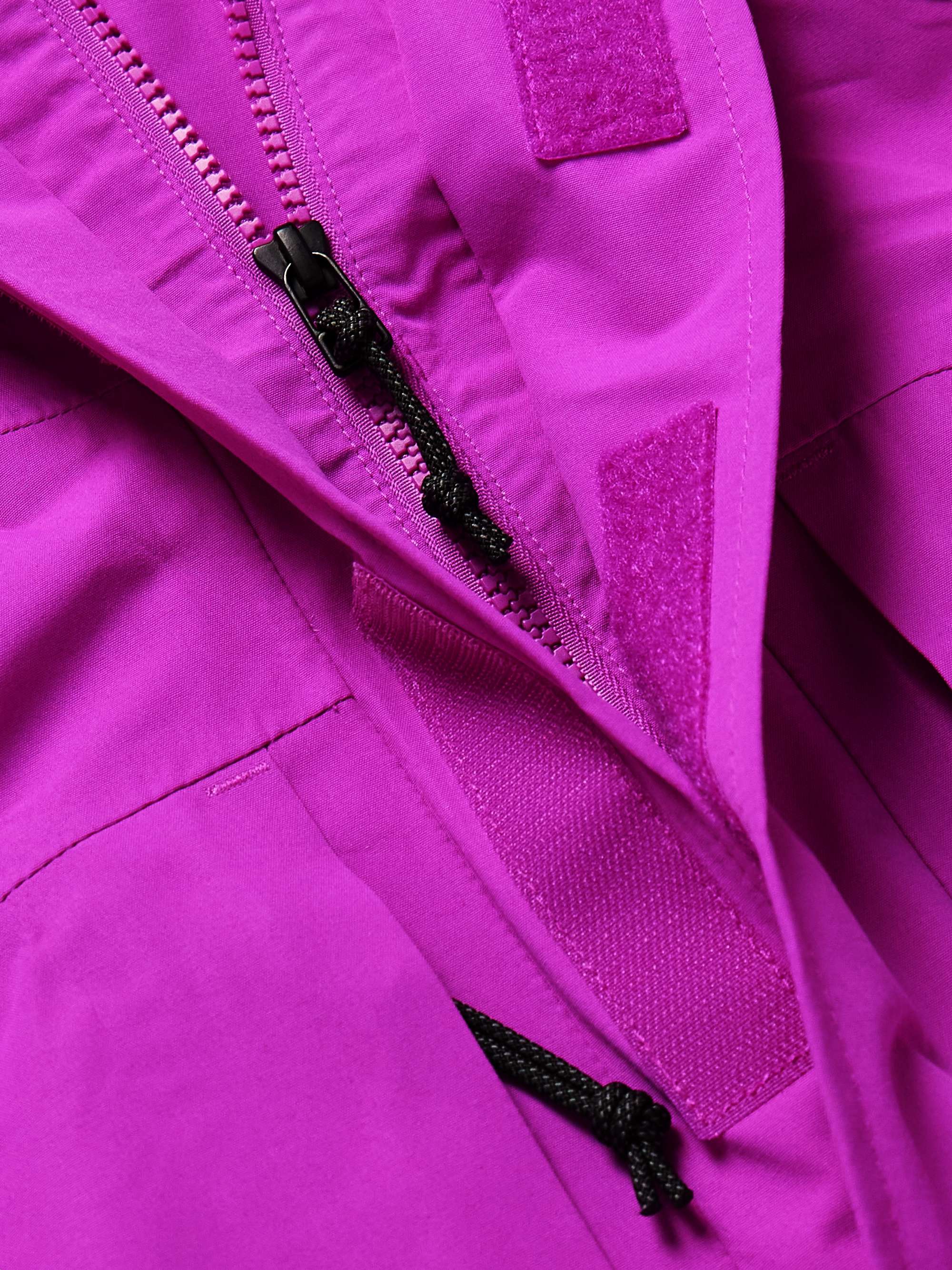 THE NORTH FACE 3L Carduelis Logo-Embroidered Panelled Shell Hooded Jacket