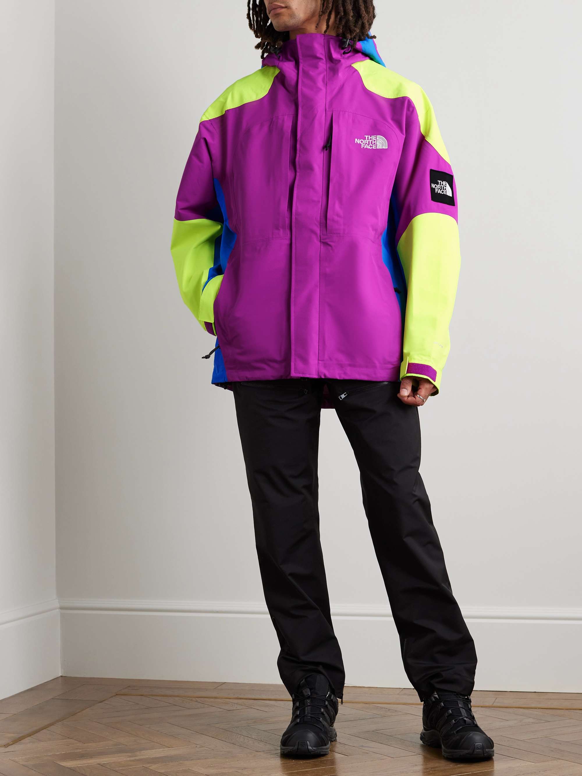 THE NORTH FACE 3L Carduelis Logo-Embroidered Panelled Shell Hooded Jacket