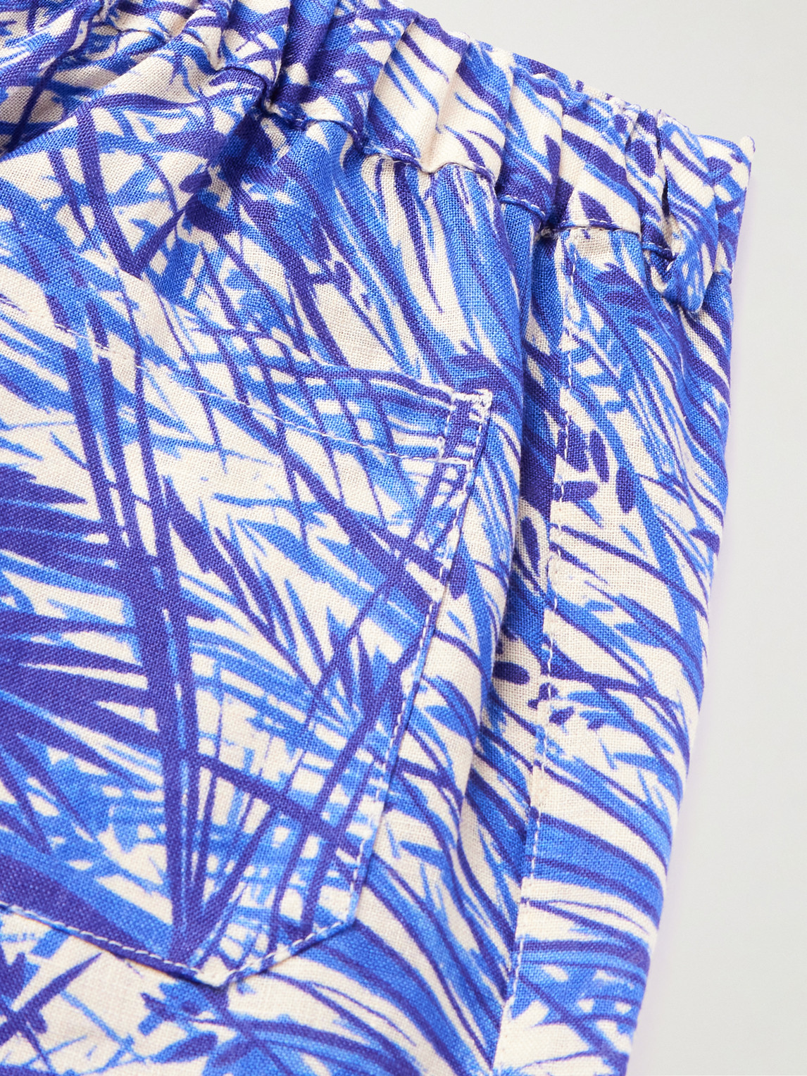 Loro Piana Loris Printed Linen Shorts In Blue