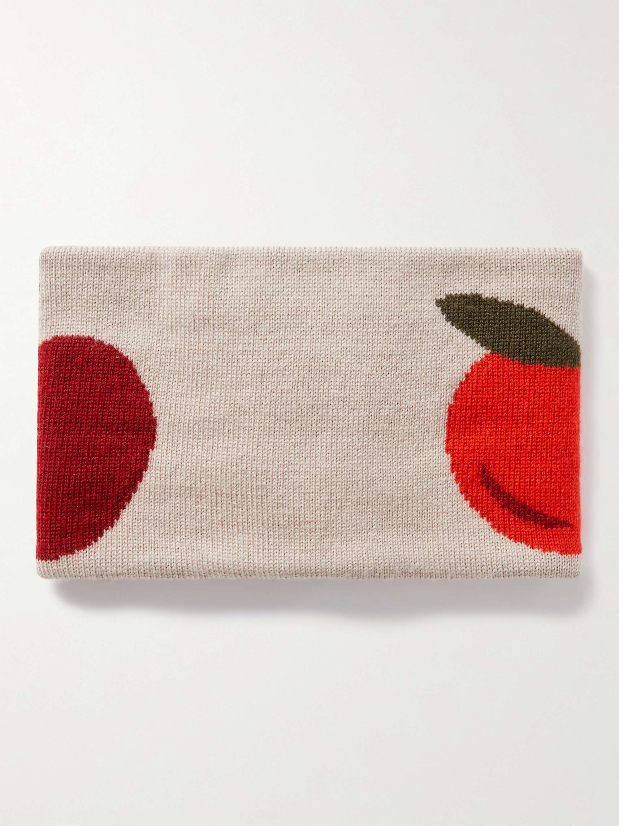 JW ANDERSON Zipped Intarsia Merino Wool Scarf