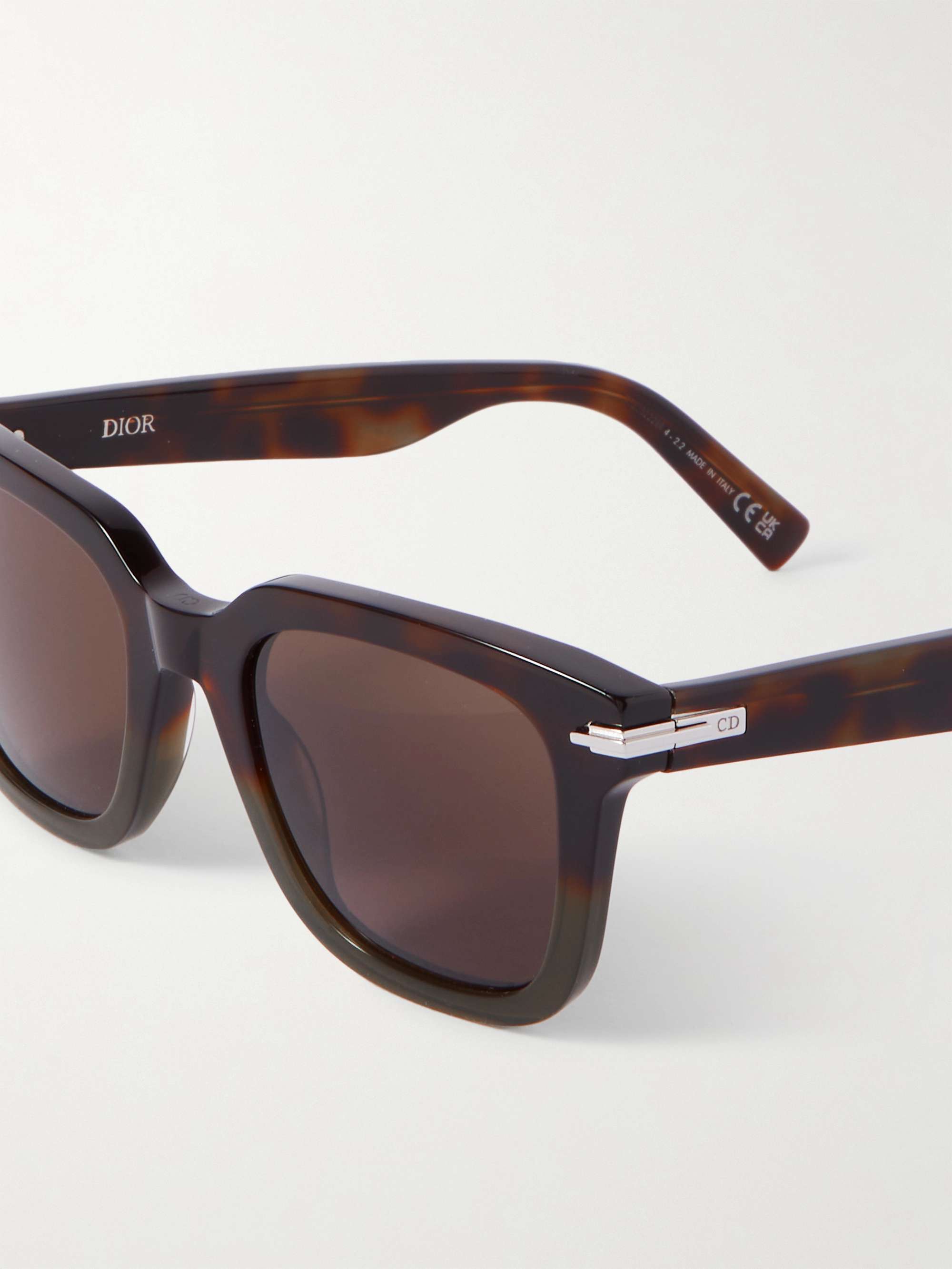 DIOR EYEWEAR DiorBlackSuit S10I D-Frame Acetate Sunglasses