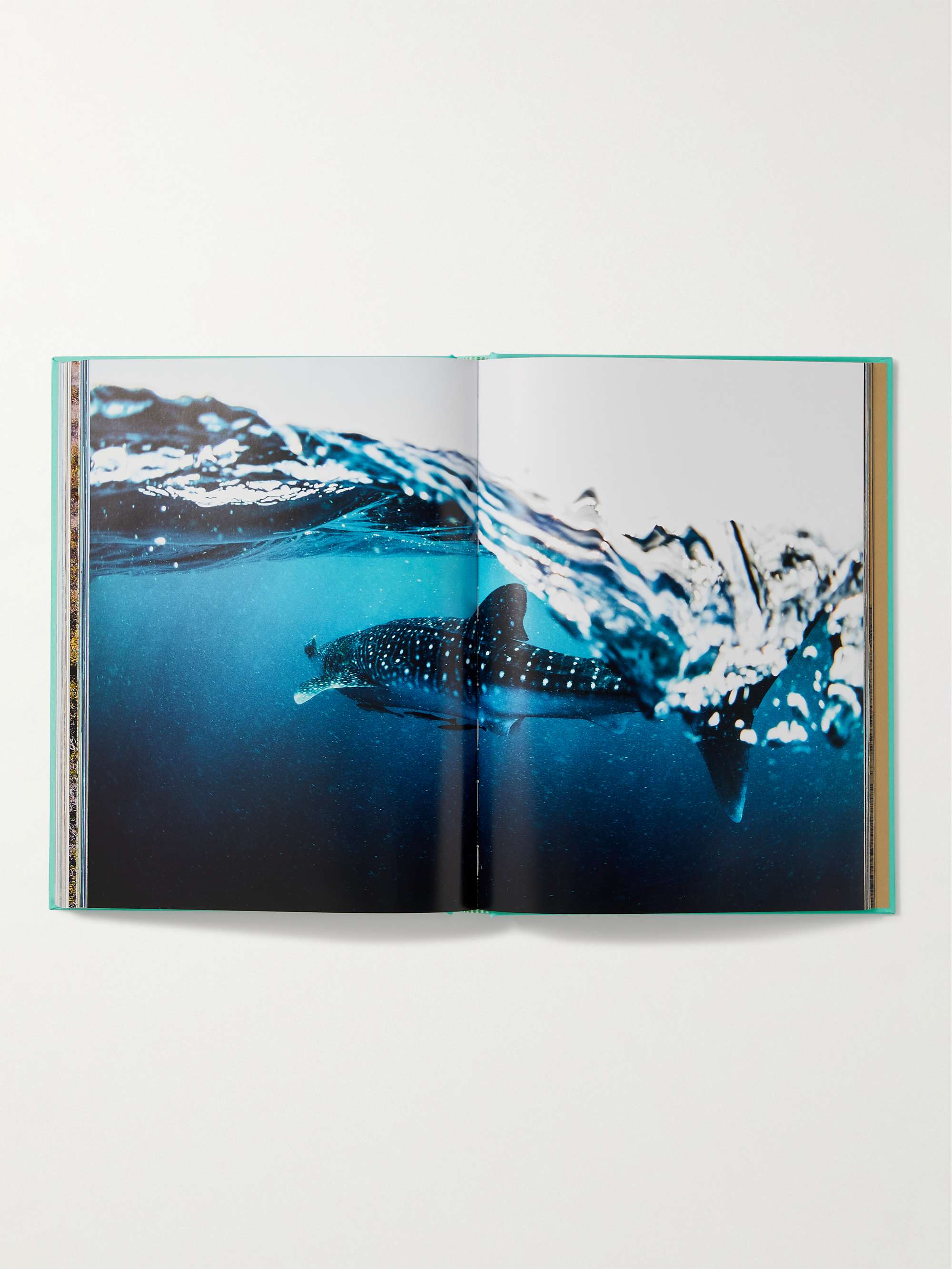 ASSOULINE Saudi Arabia: Red Sea, The Saudi Coast Hardcover Book