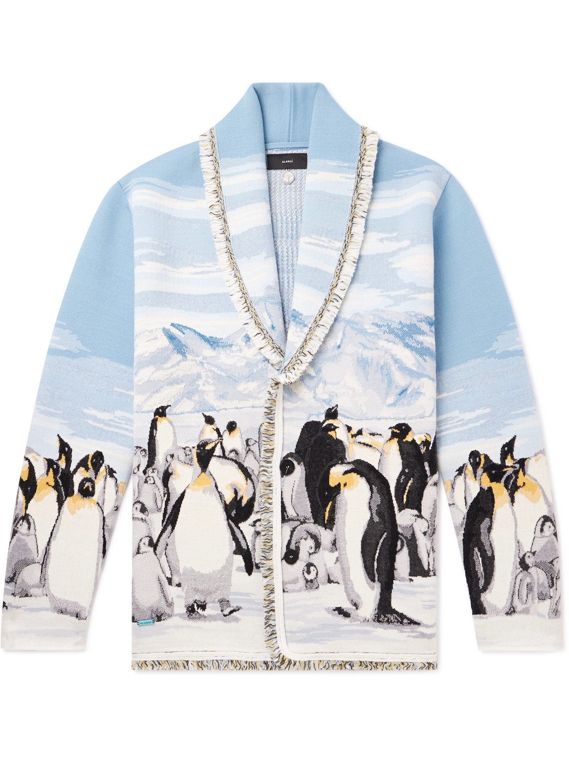 Postcard From Antarctic Fringed Intarsia Wool-Blend Cardigan