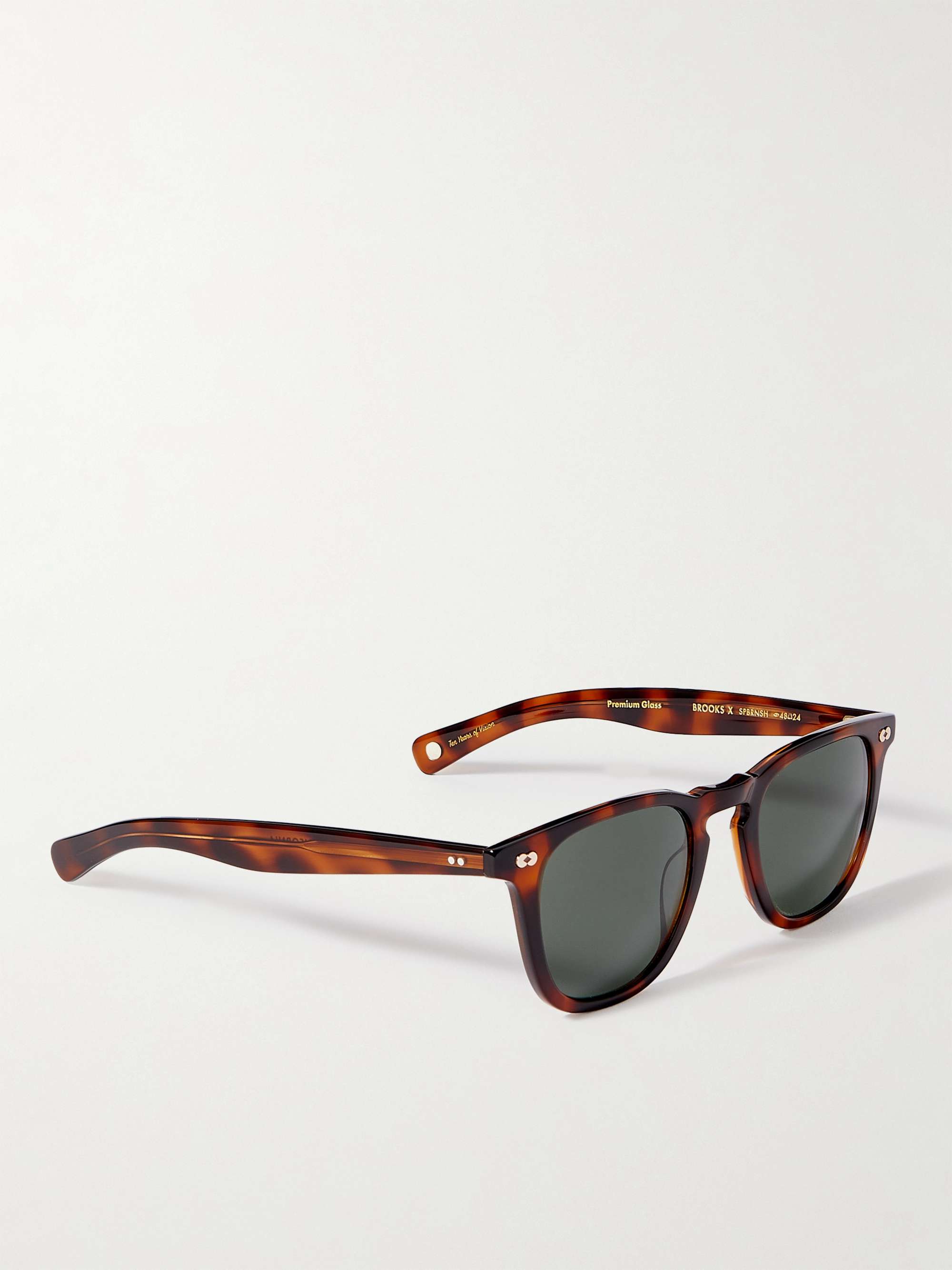 GARRETT LEIGHT CALIFORNIA OPTICAL Brooks X D-Frame Tortoiseshell Acetate Sunglasses