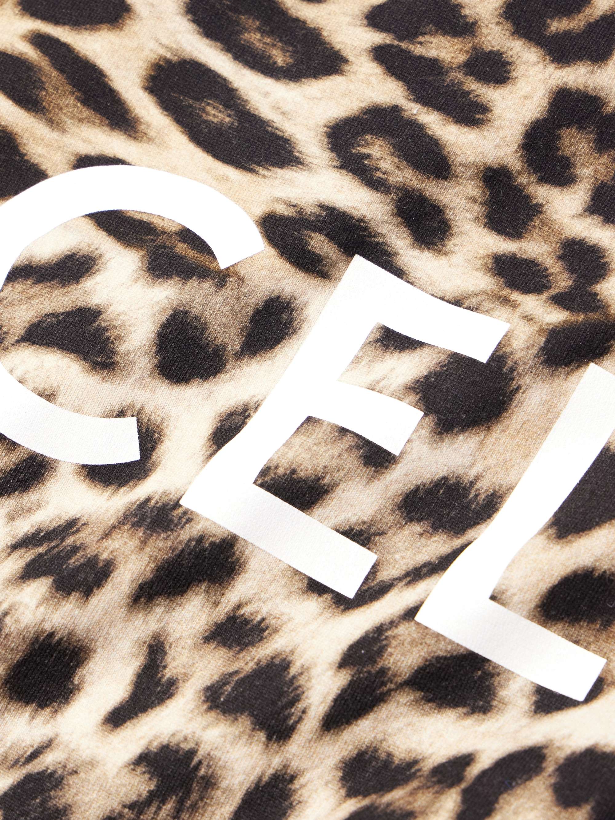 CELINE HOMME 