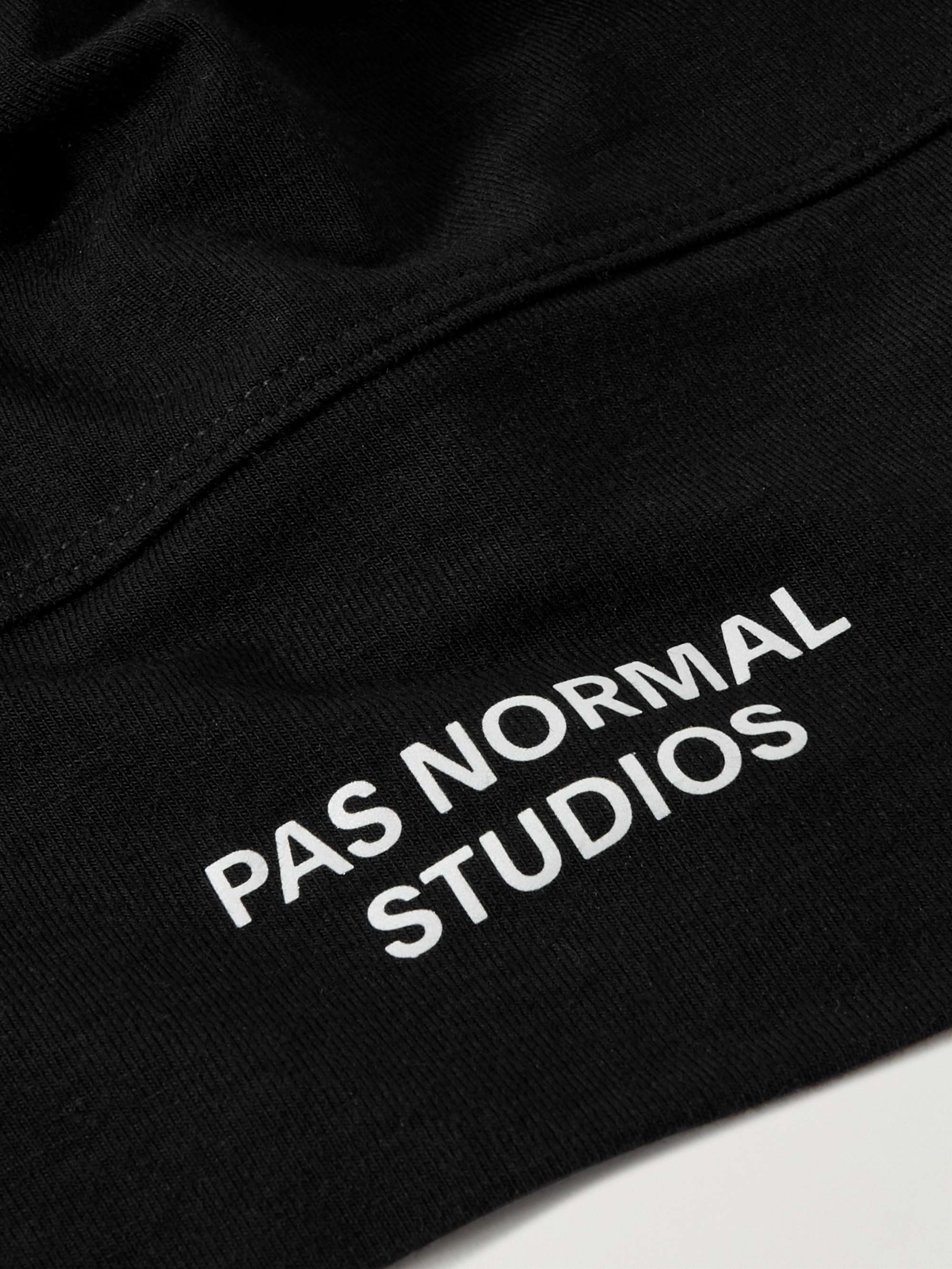PAS NORMAL STUDIOS 