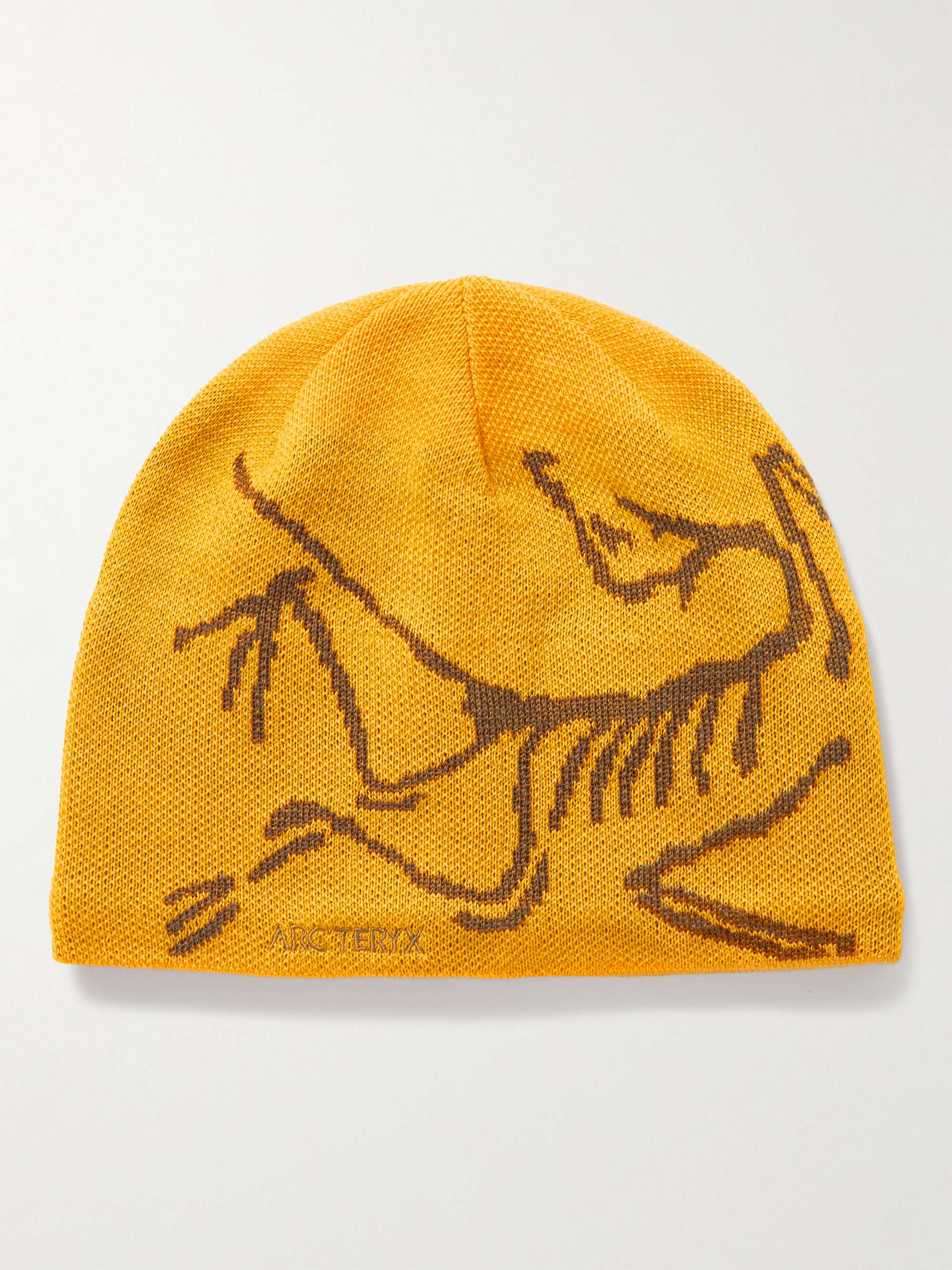 men's arc teryx beanie