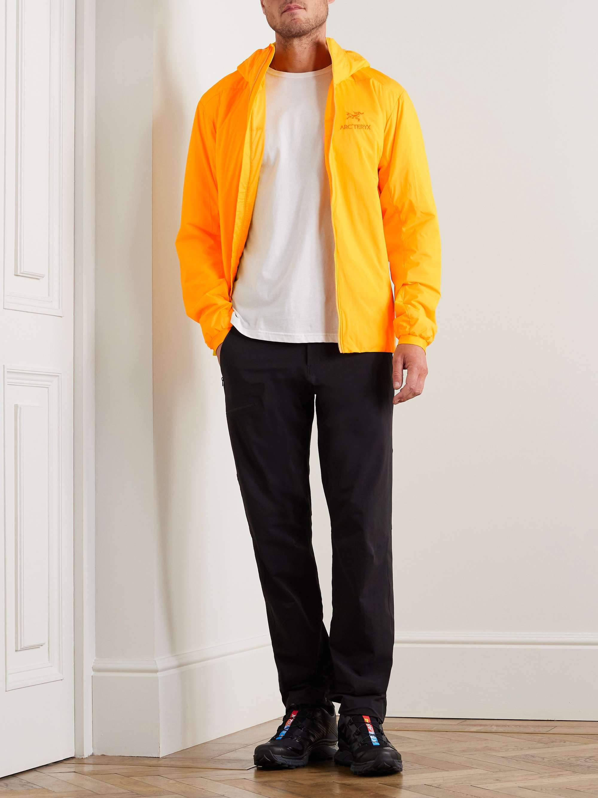 arcteryx mr porter