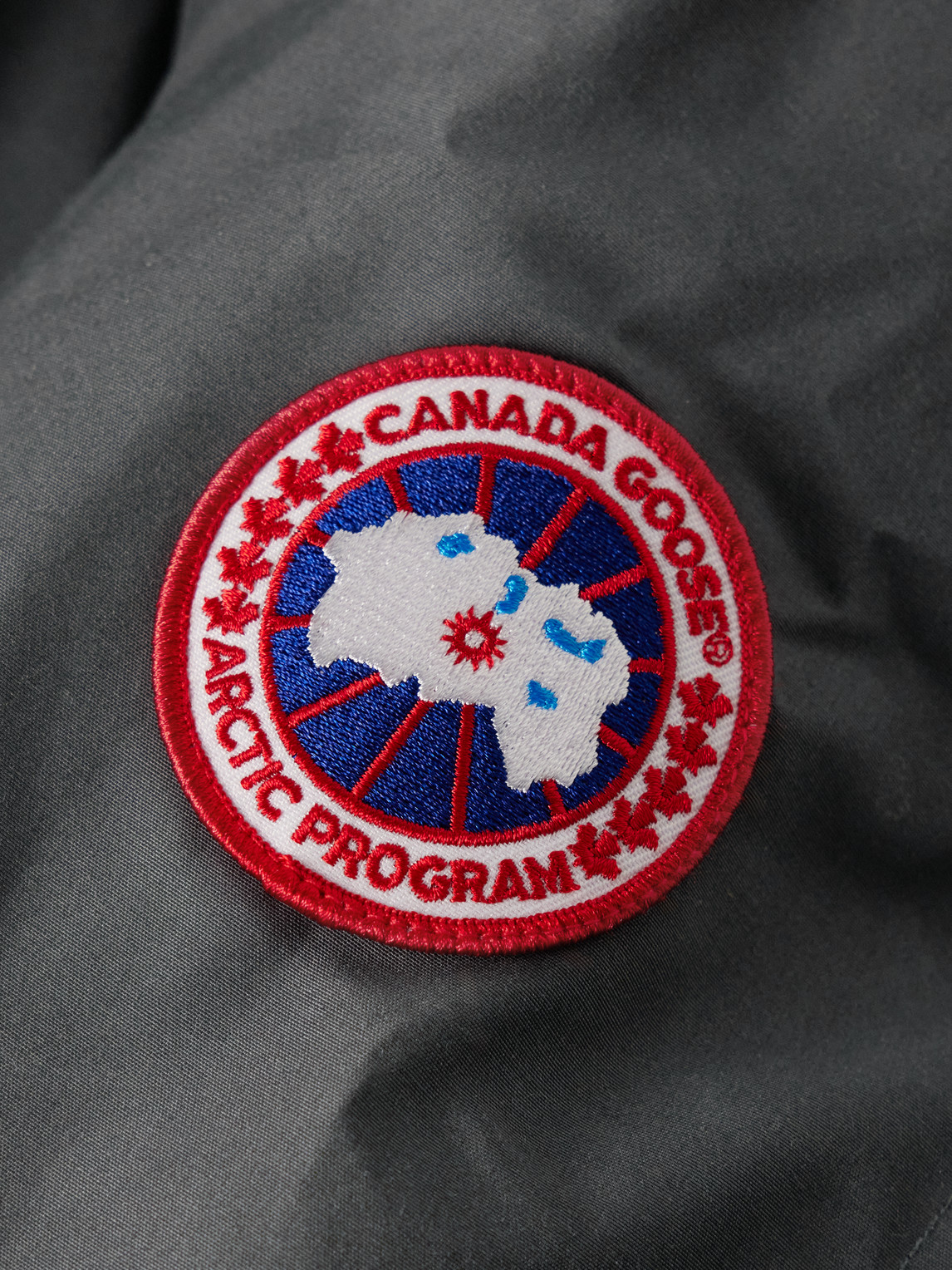 Shop Canada Goose Chateau Appliquéd Arctic Tech® Hooded Down Parka In Gray