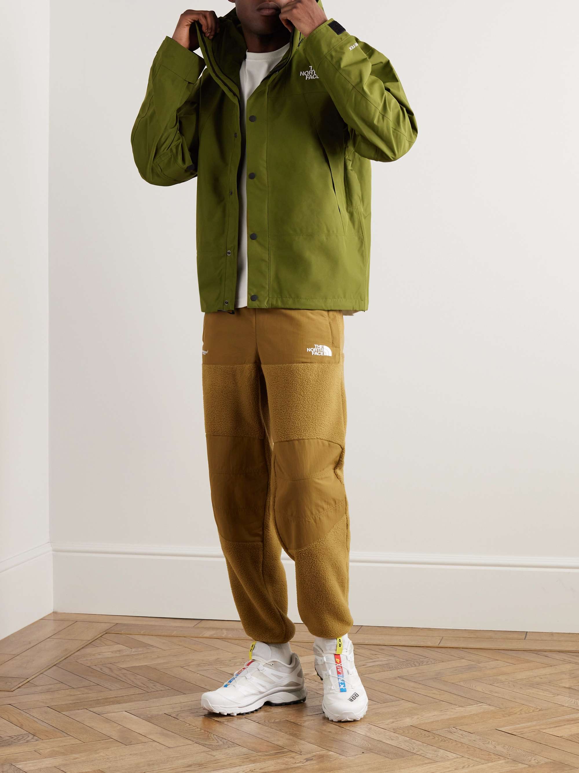 THE NORTH FACE Mountain Logo-Embroidered GORE-TEX Hooded