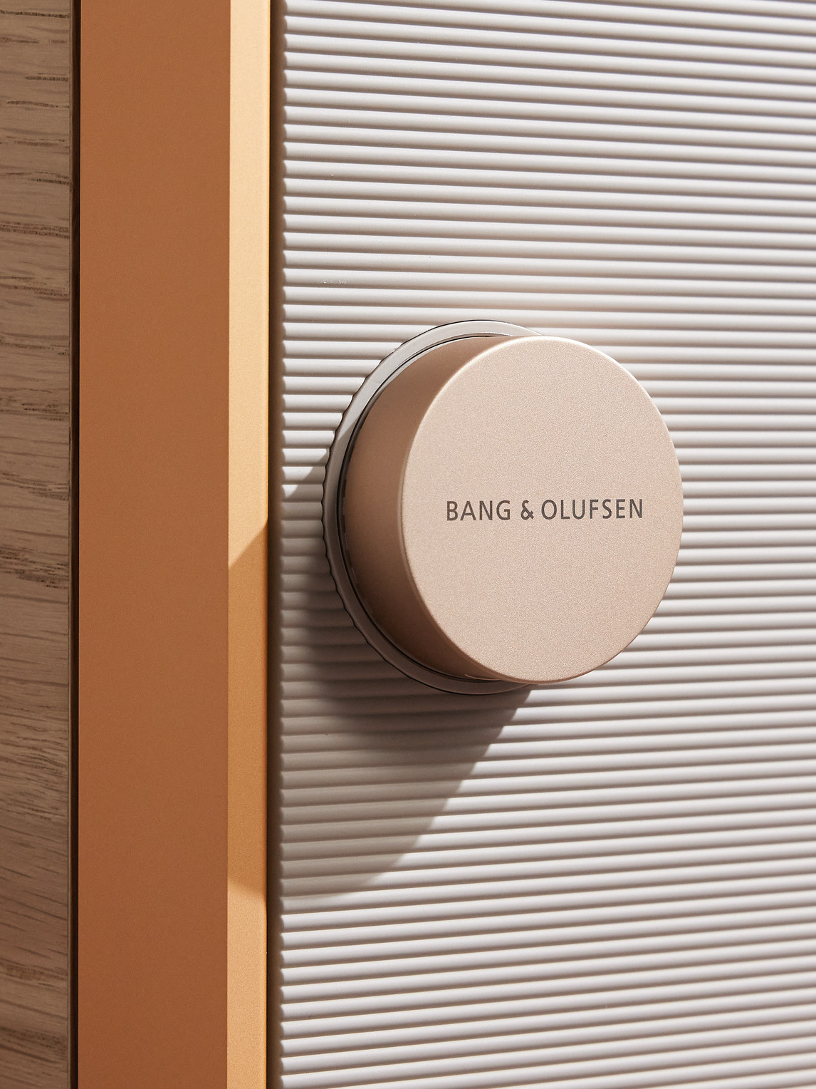  Bang & Olufsen - Beosound Level Portable Speaker - Men - Gold 