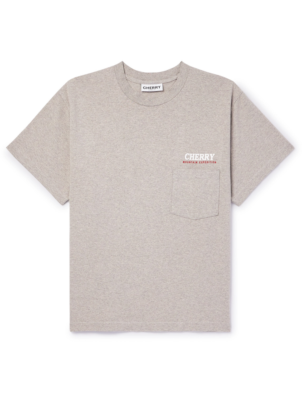 Cherry Los Angeles Mountain Expedition Garment-dyed Logo-print Cotton-jersey T-shirt In Neutrals