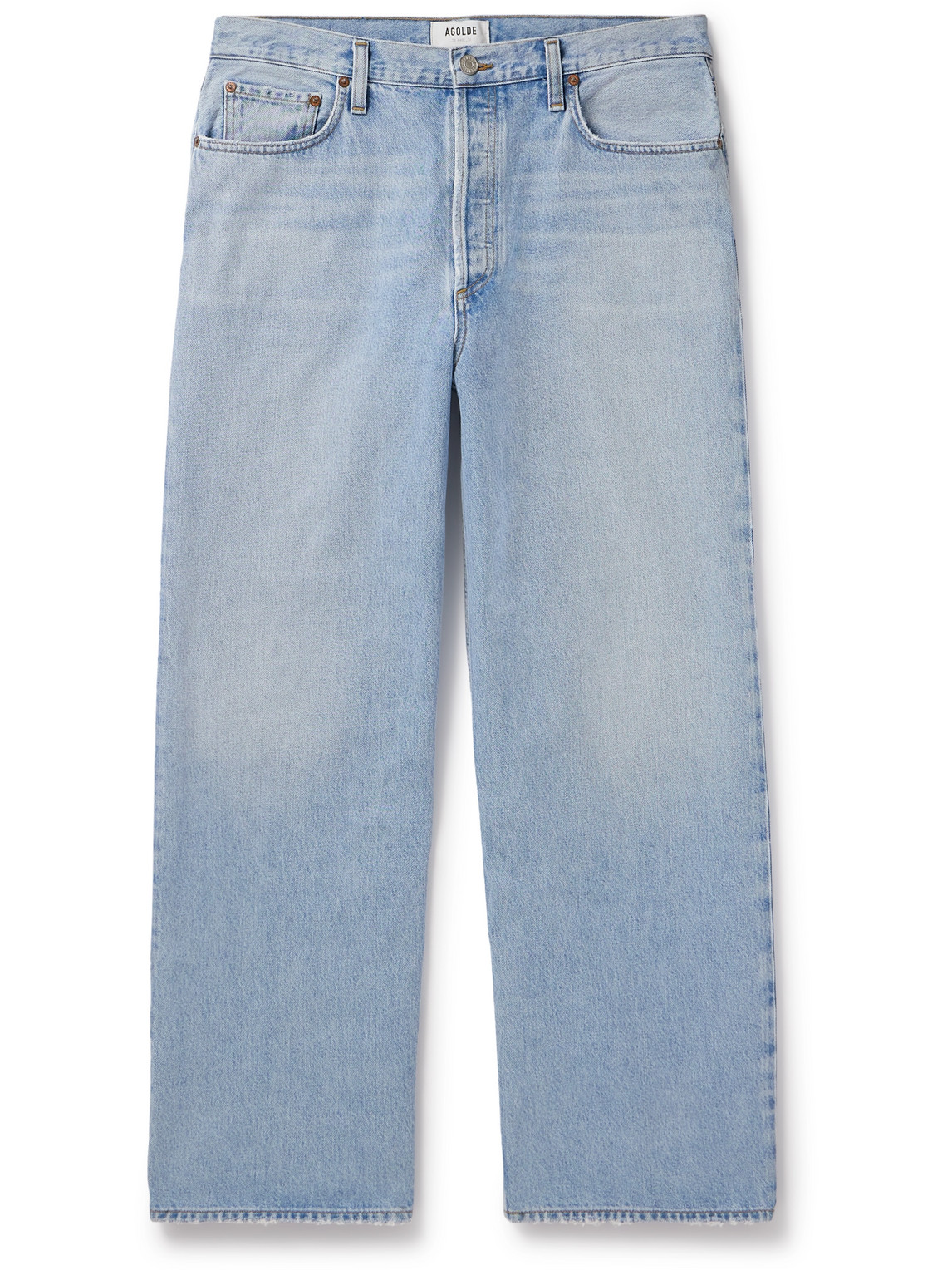 Agolde Low Slung Baggy Wide-leg Distressed Jeans In Blue