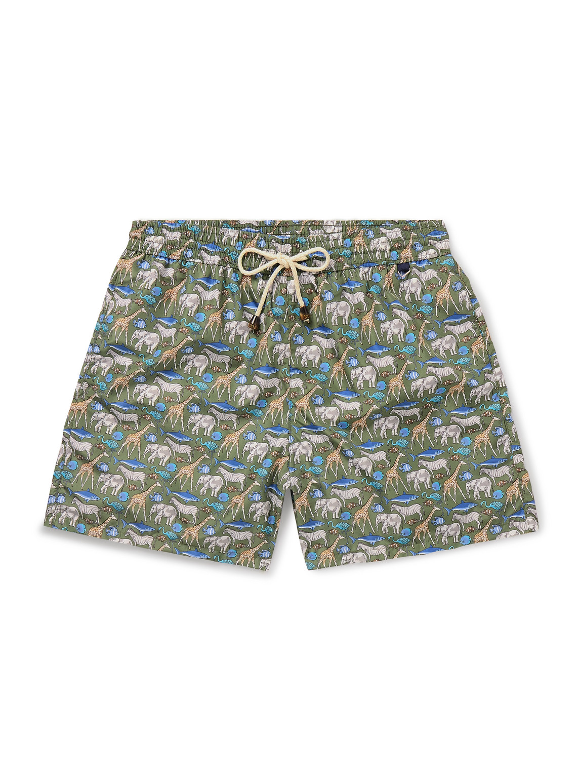 Rubinacci Straight-leg Mid-length Printed Shell Swim Shorts In Green