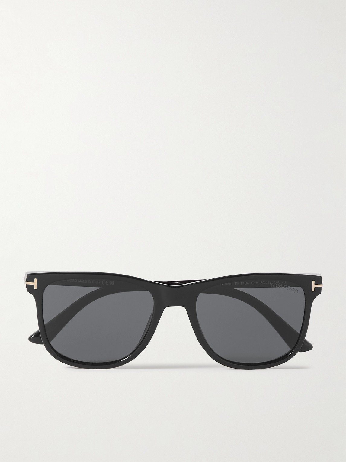 Tom Ford Sinatra D-Frame Acetate Sunglasses - Men