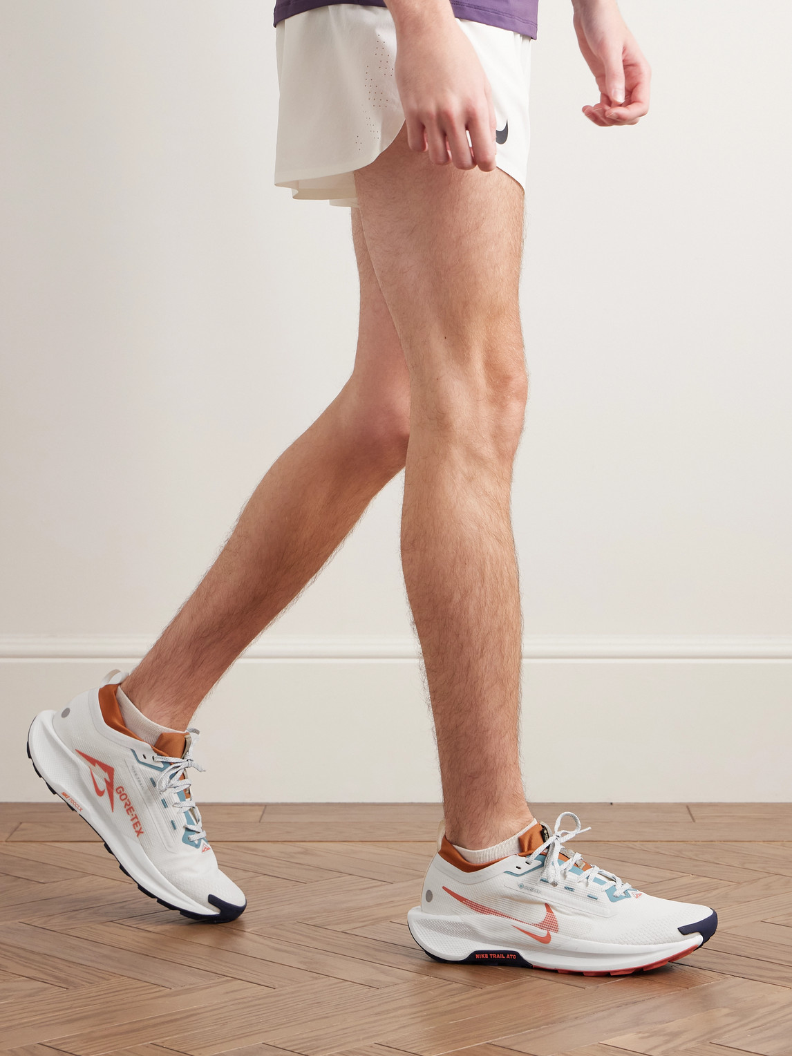 Pegasus Trail 5 Stretch-Jersey and Rubber-Trimmed GORE-TEX Running Sneakers - Men | Image | 1