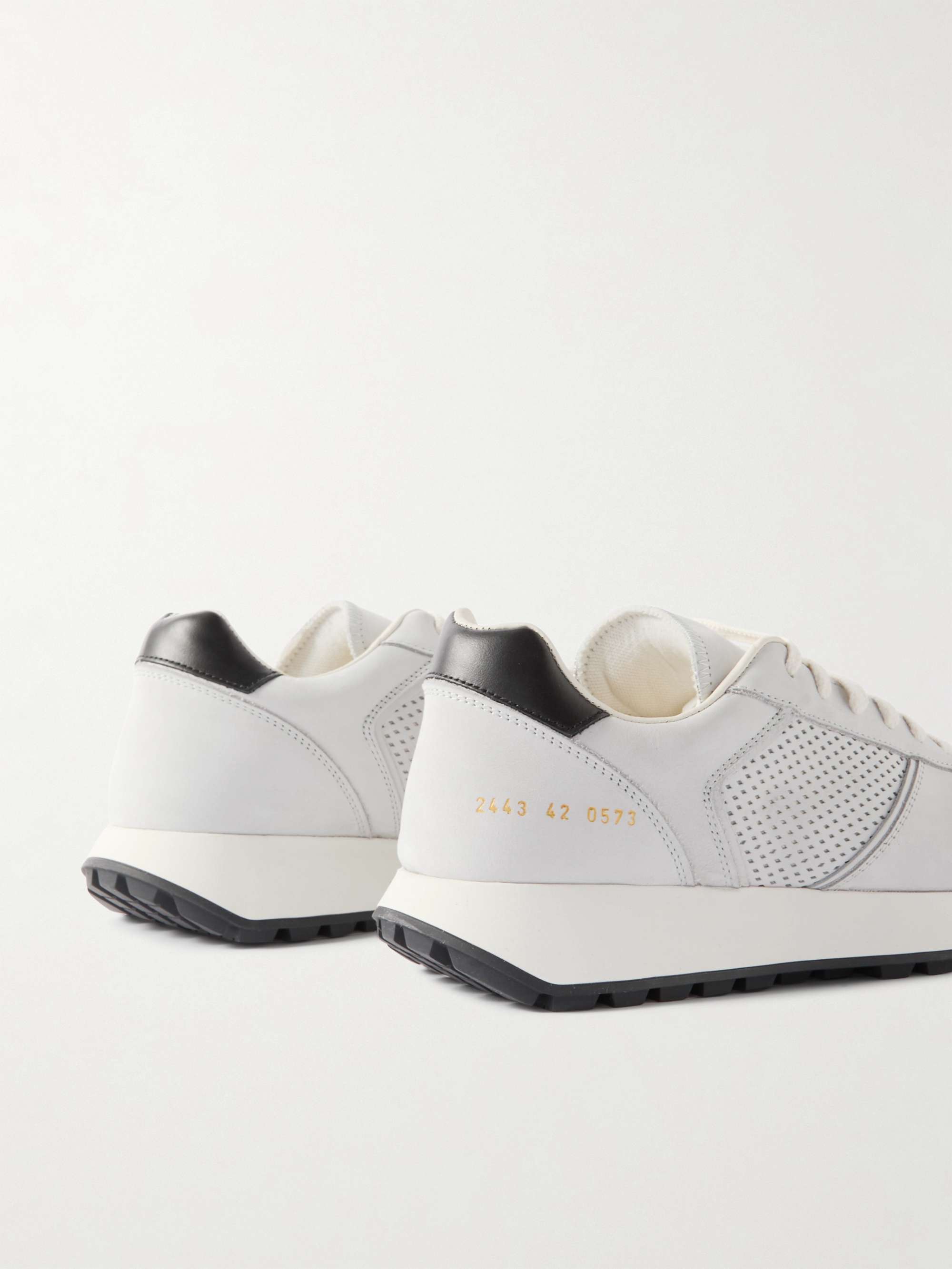 COMMON PROJECTS 