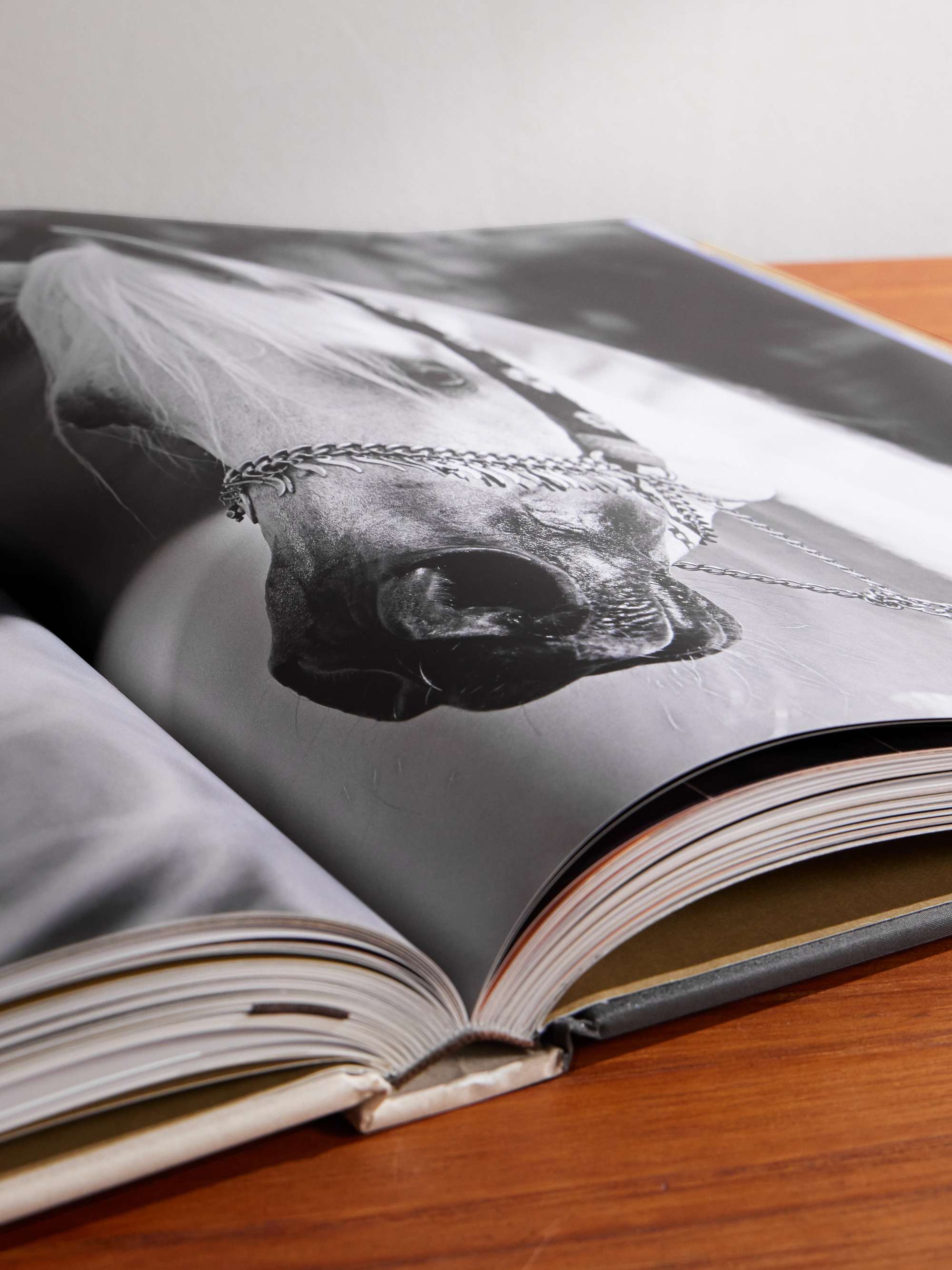 ASSOULINE 