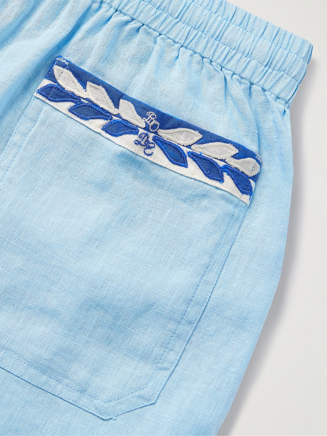 Bode Seedling Stripe Appliquéd Linen Shorts In Blue