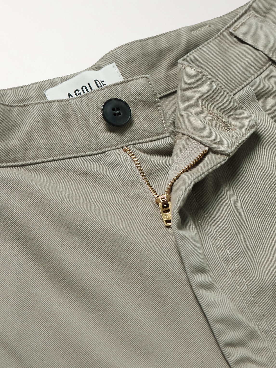 Agolde Gaius Tapered Pleated Regenerative Cotton-twill Chinos In Gray