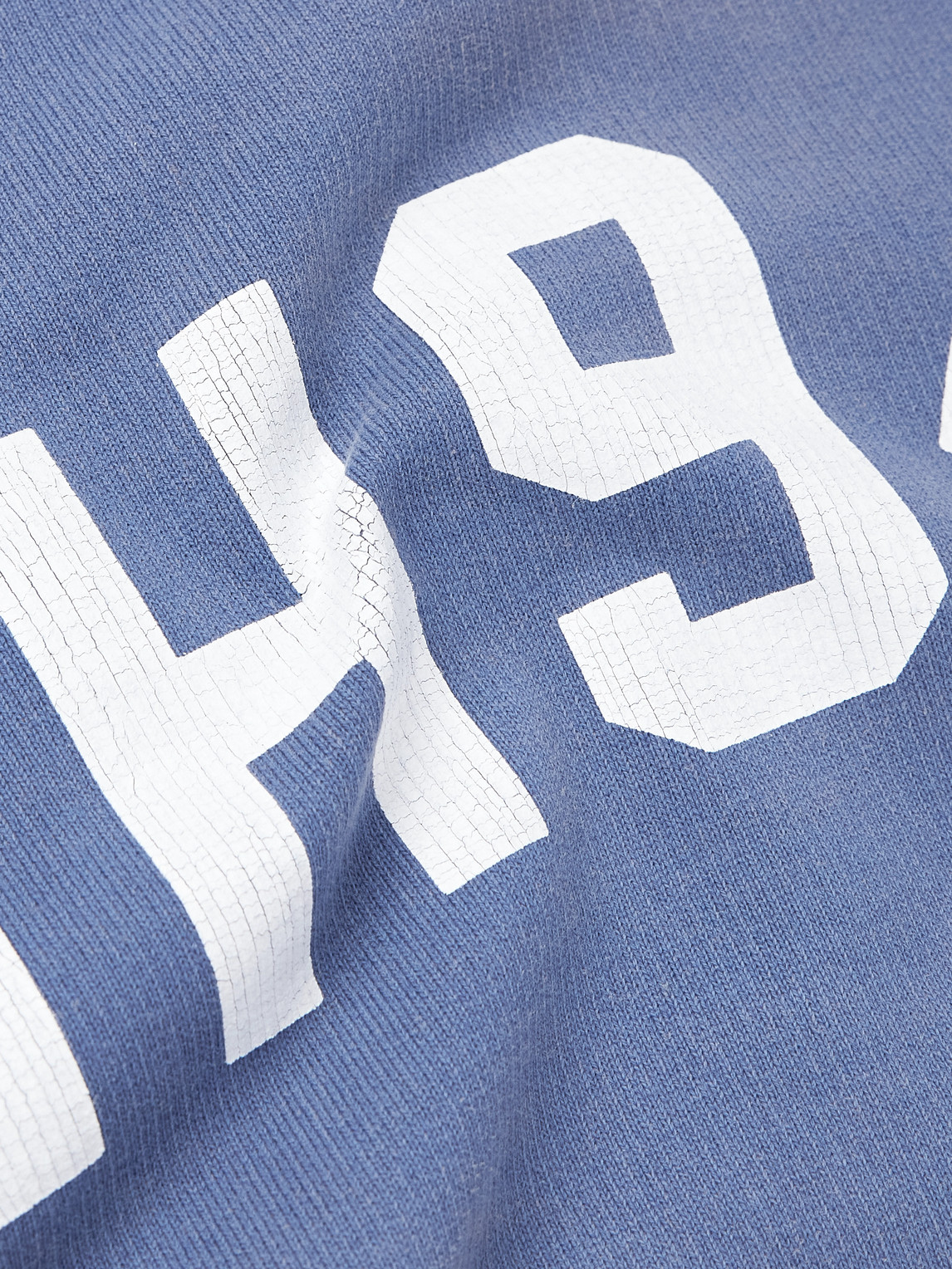 Shop Neighborhood Savage Printed Distressed Cotton-jersey Sweatshirt In Blue