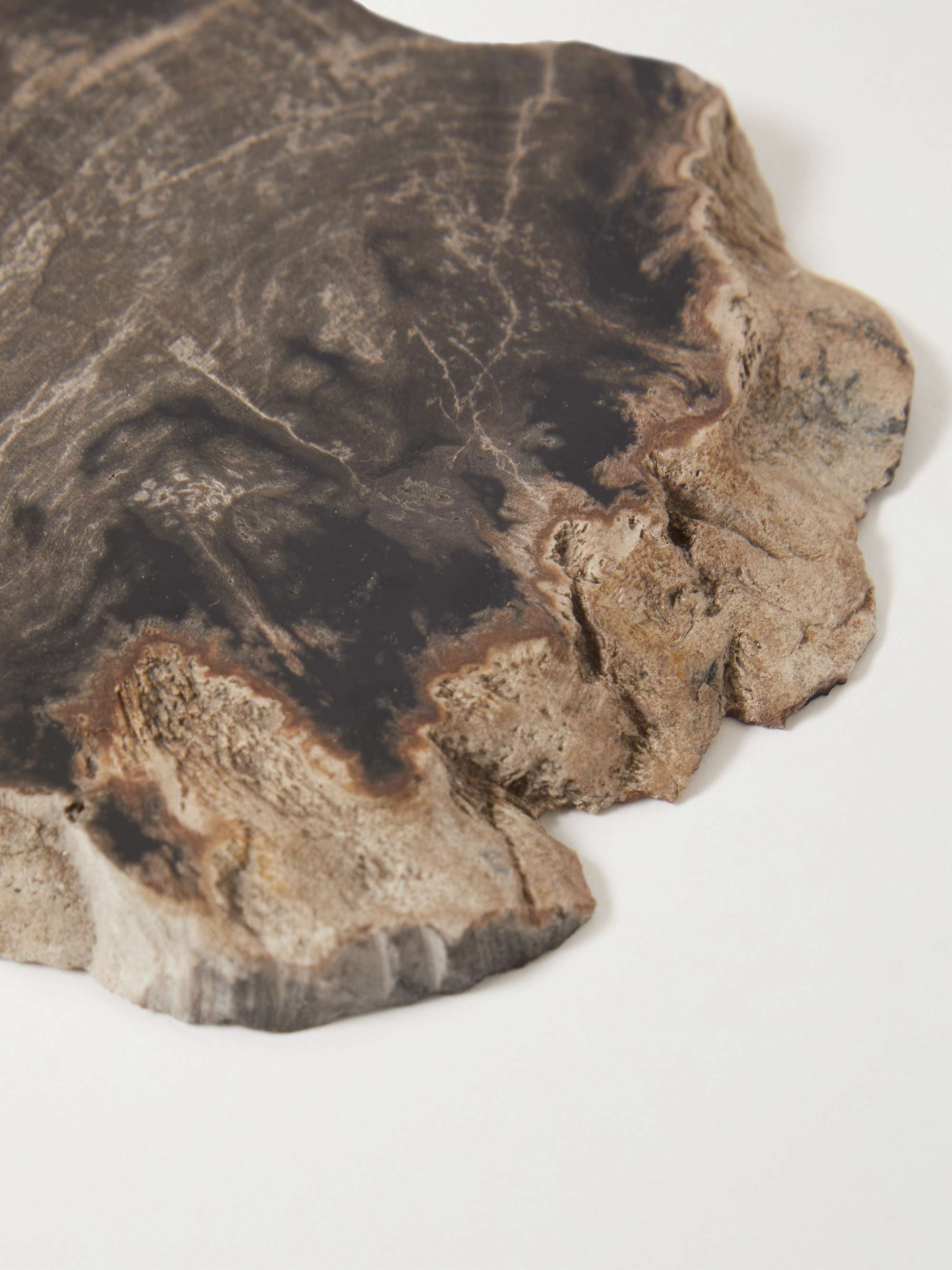 SOHO HOME Set of Four Petrified Wood Coasters