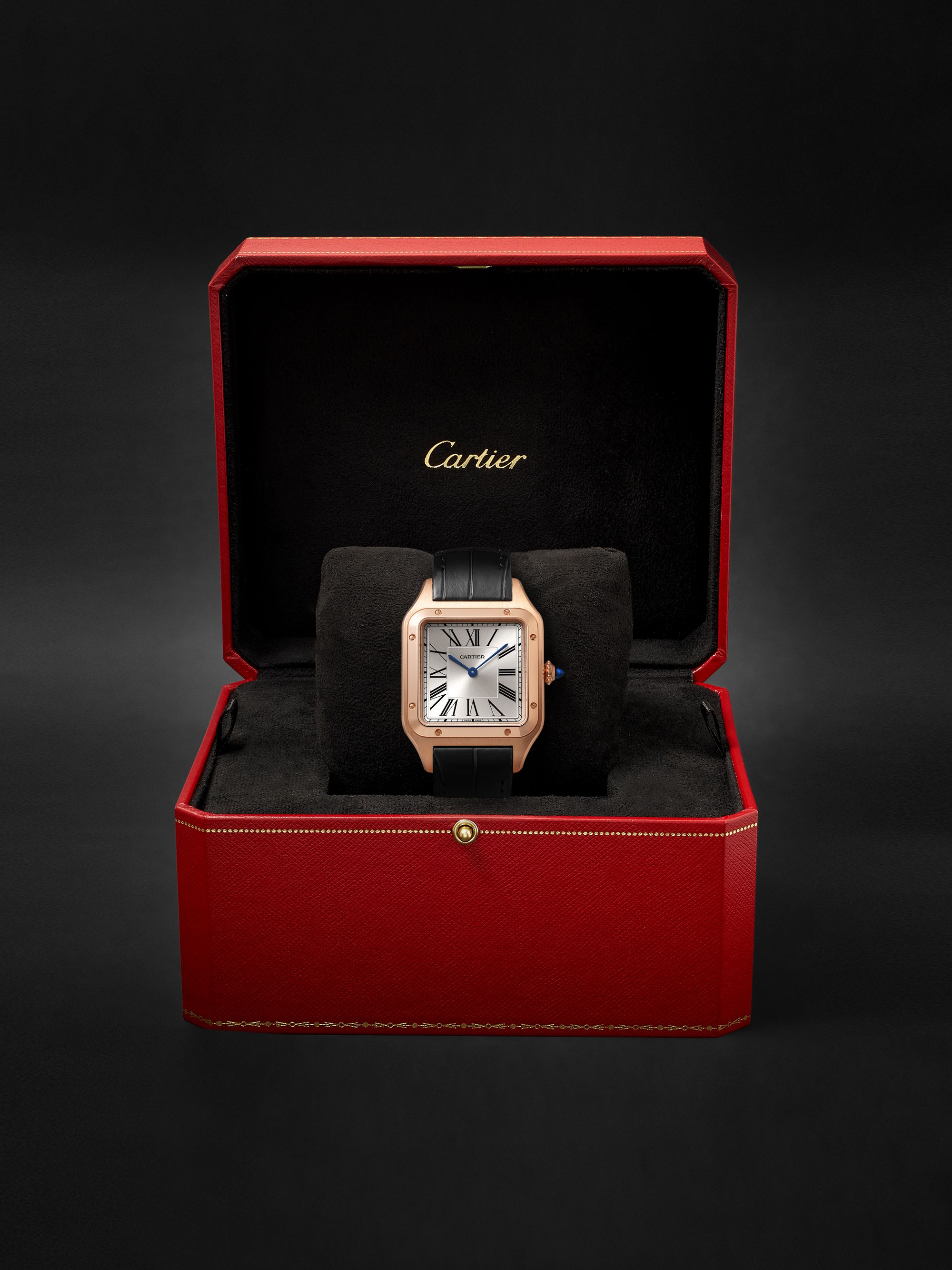 CARTIER Santos-Dumont 31.4mm Large Steel and Alligator Watch, Ref. No. WSSA0022