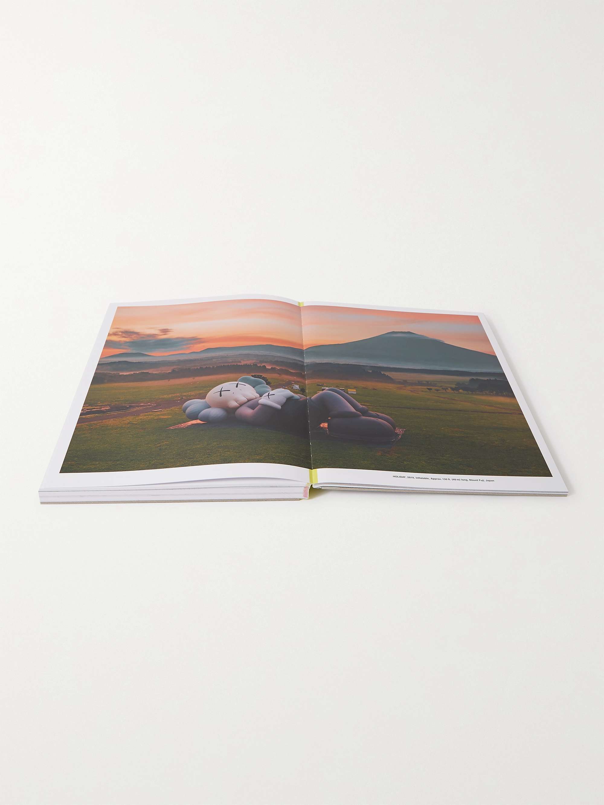PHAIDON KAWS: What Party Hardcover Book - Black Edition