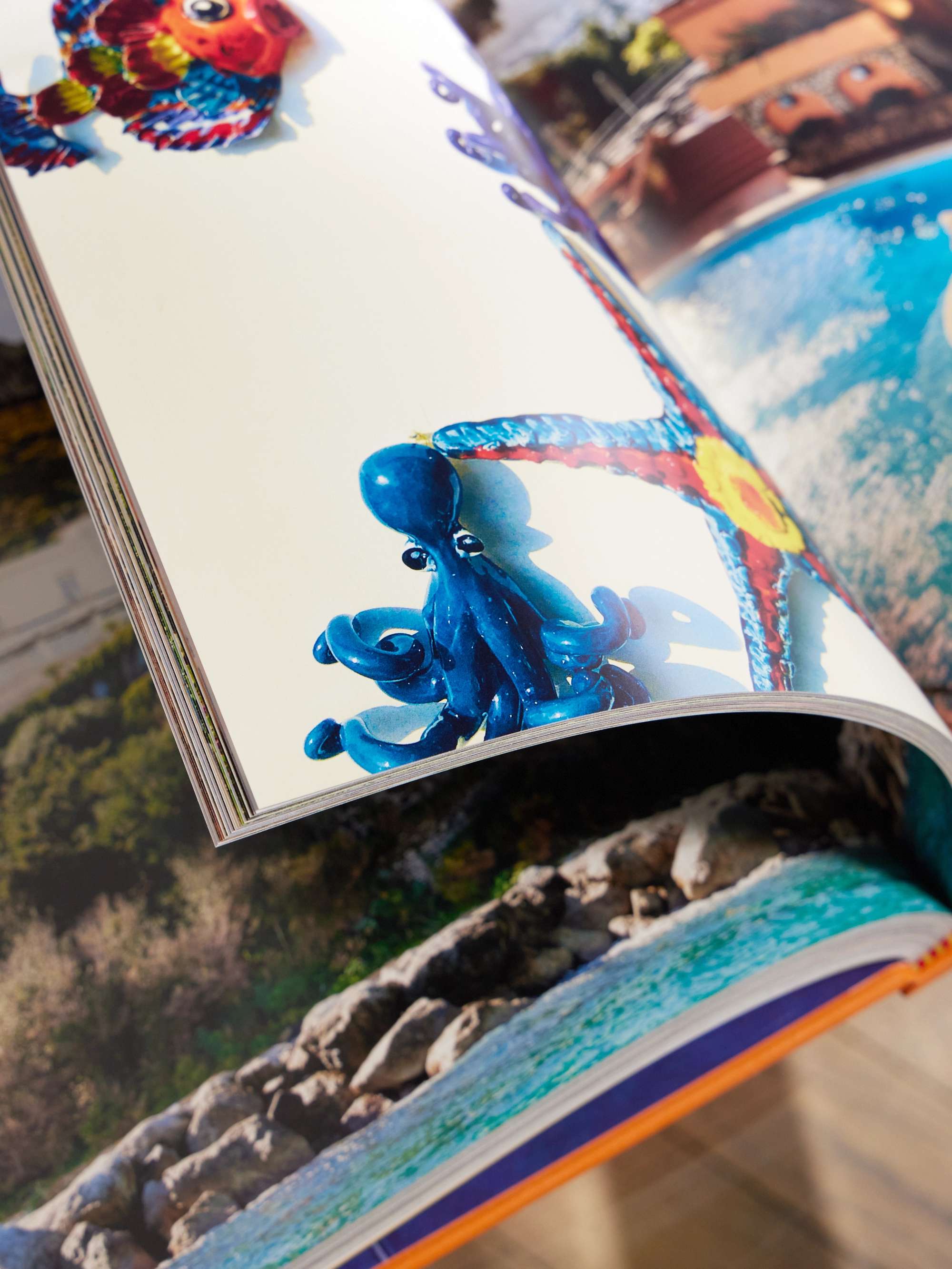 ASSOULINE Provence Glory Hardcover Book