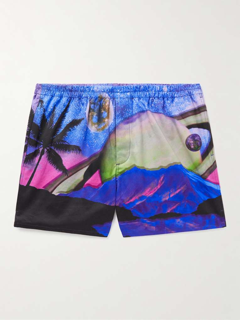 Valentino Garavani — Straight-Leg Printed Cotton-Twill Shorts