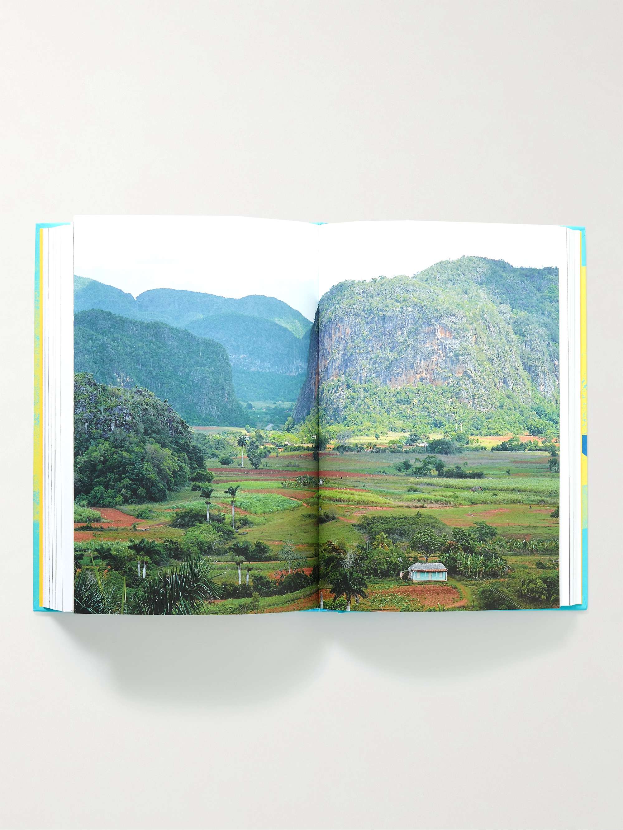 PHAIDON China: The Cookbook Hardcover Book