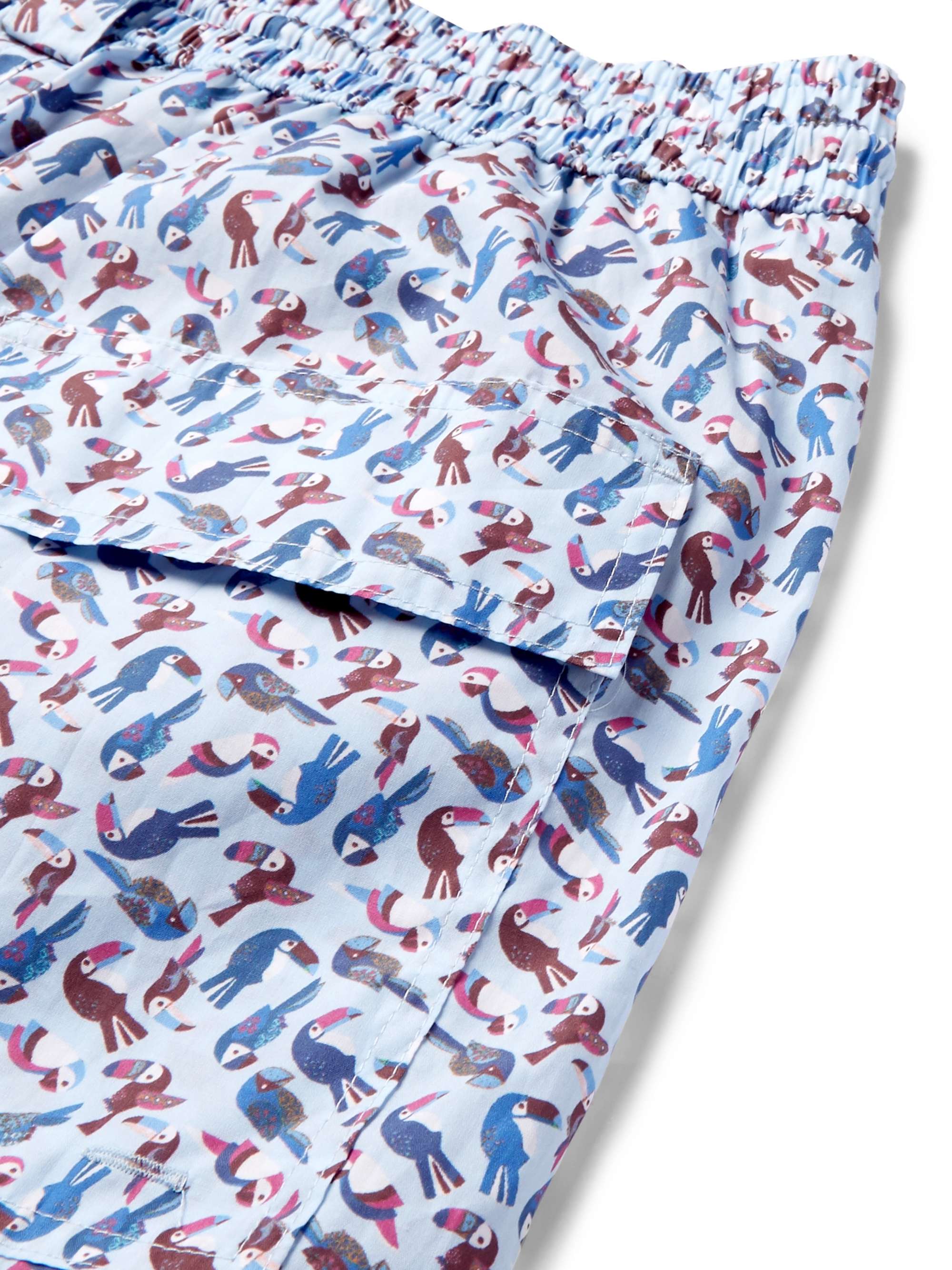LORO PIANA Mid-Length Printed Swim Shorts