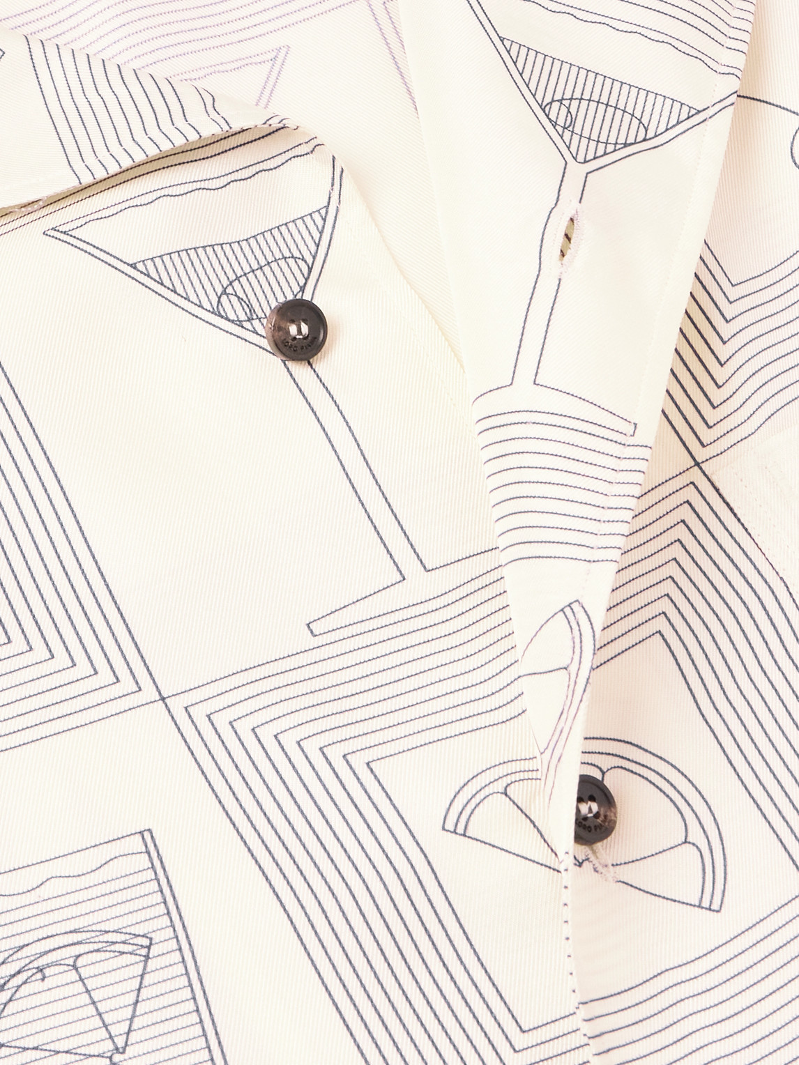 Loro Piana Aperitivo Federico Camp-collar Printed Silk-twill Shirt