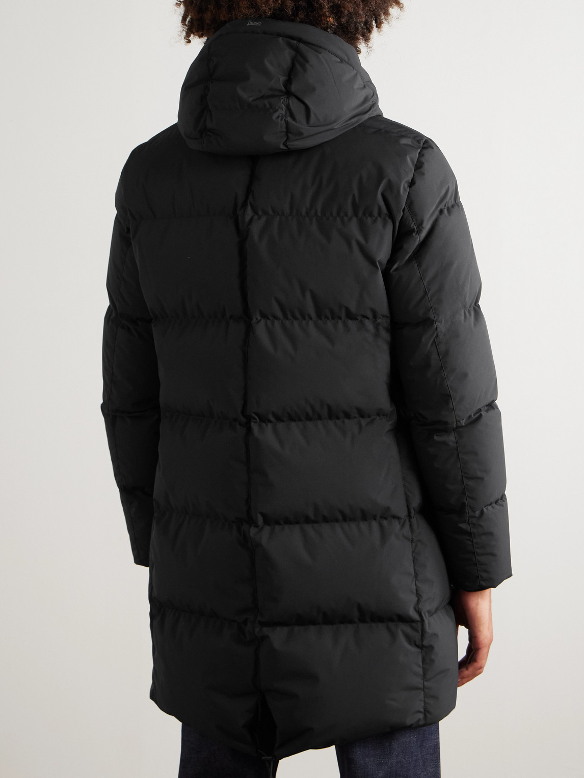 Herno Slim-fit Quilted Shell Hooded Down Parka In Black