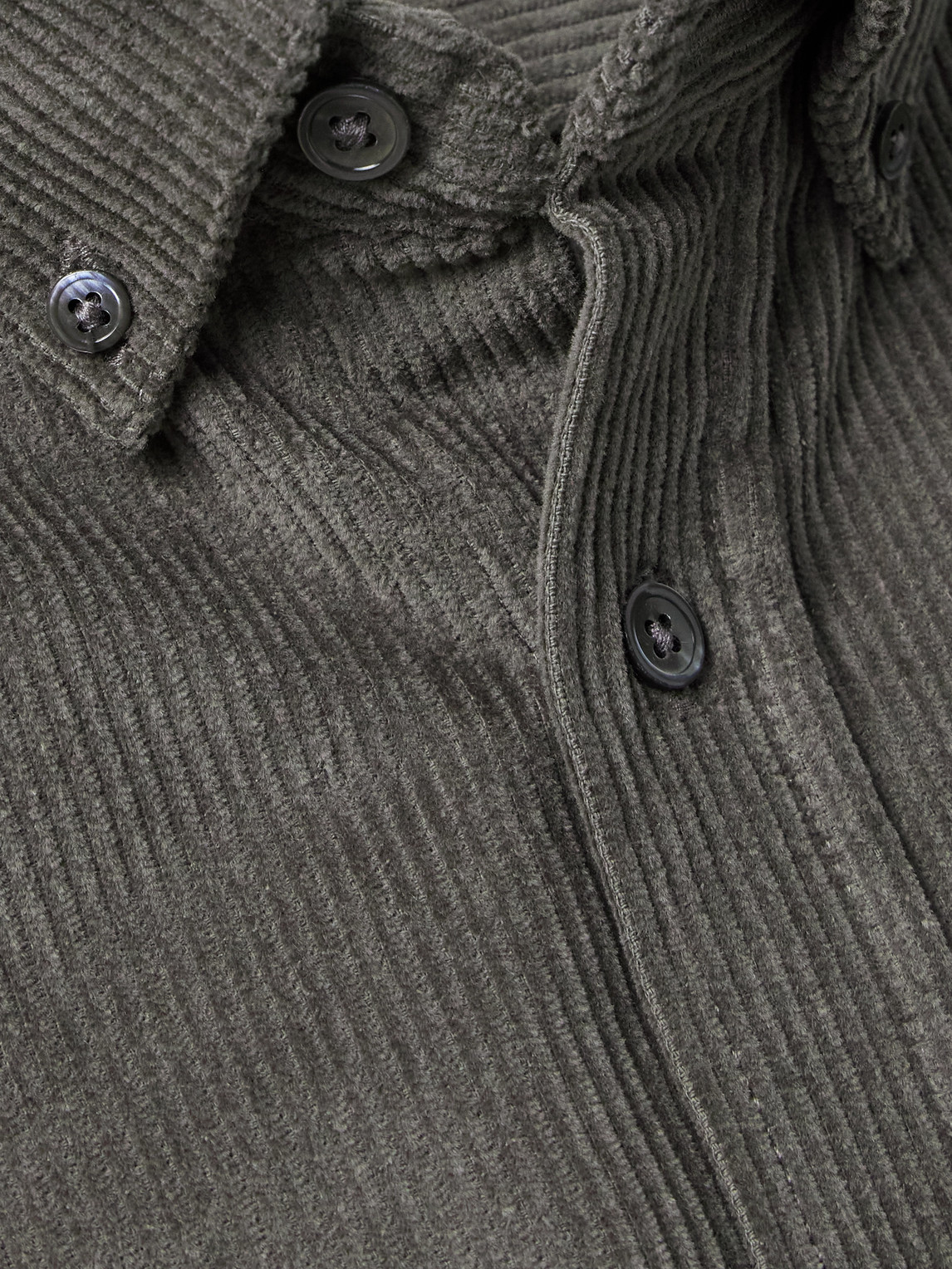 Lobo 2.0 Button-Down Collar Cotton-Corduroy Shirt