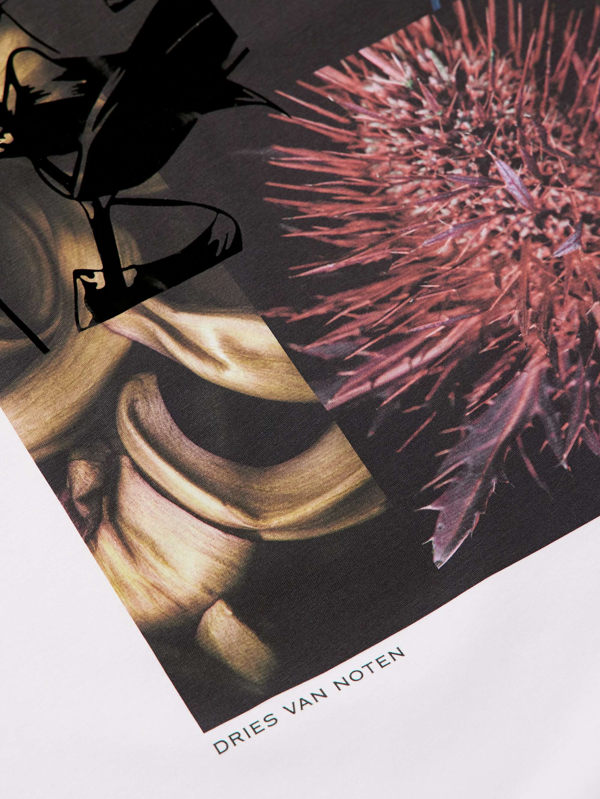 DRIES VAN NOTEN 