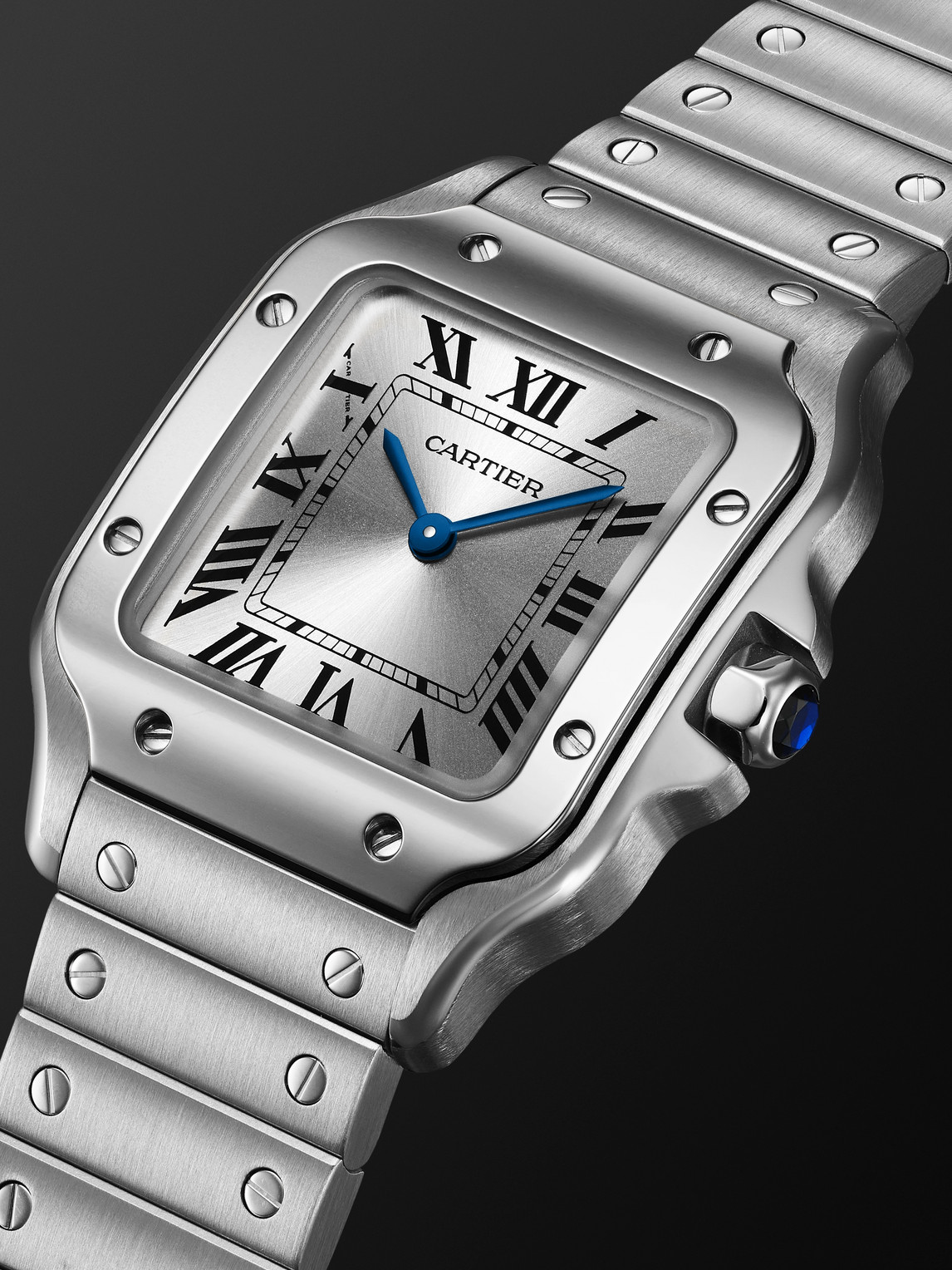  Cartier - Santos De Cartier Small 34.5mm Stainless Steel Interchangeable And Leather Watch, Ref. No. Crwssa0082 - Men - Silver 