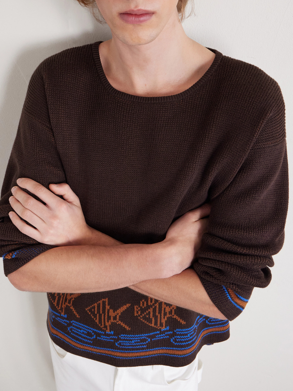 Fish School Intarsia-Knit Cotton Sweater