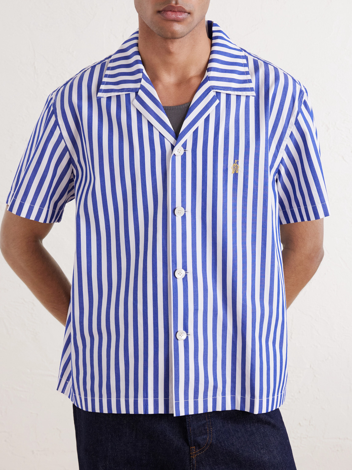 Calliope Camp-Collar Striped