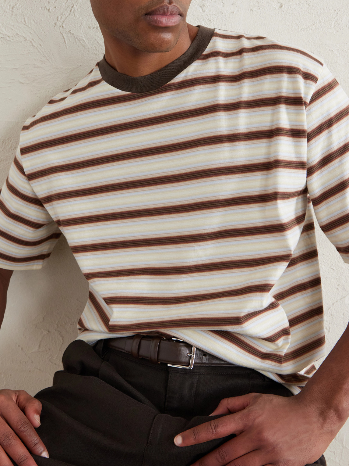 Auralee Cotton Gradient Stripe T-shirt In Brown