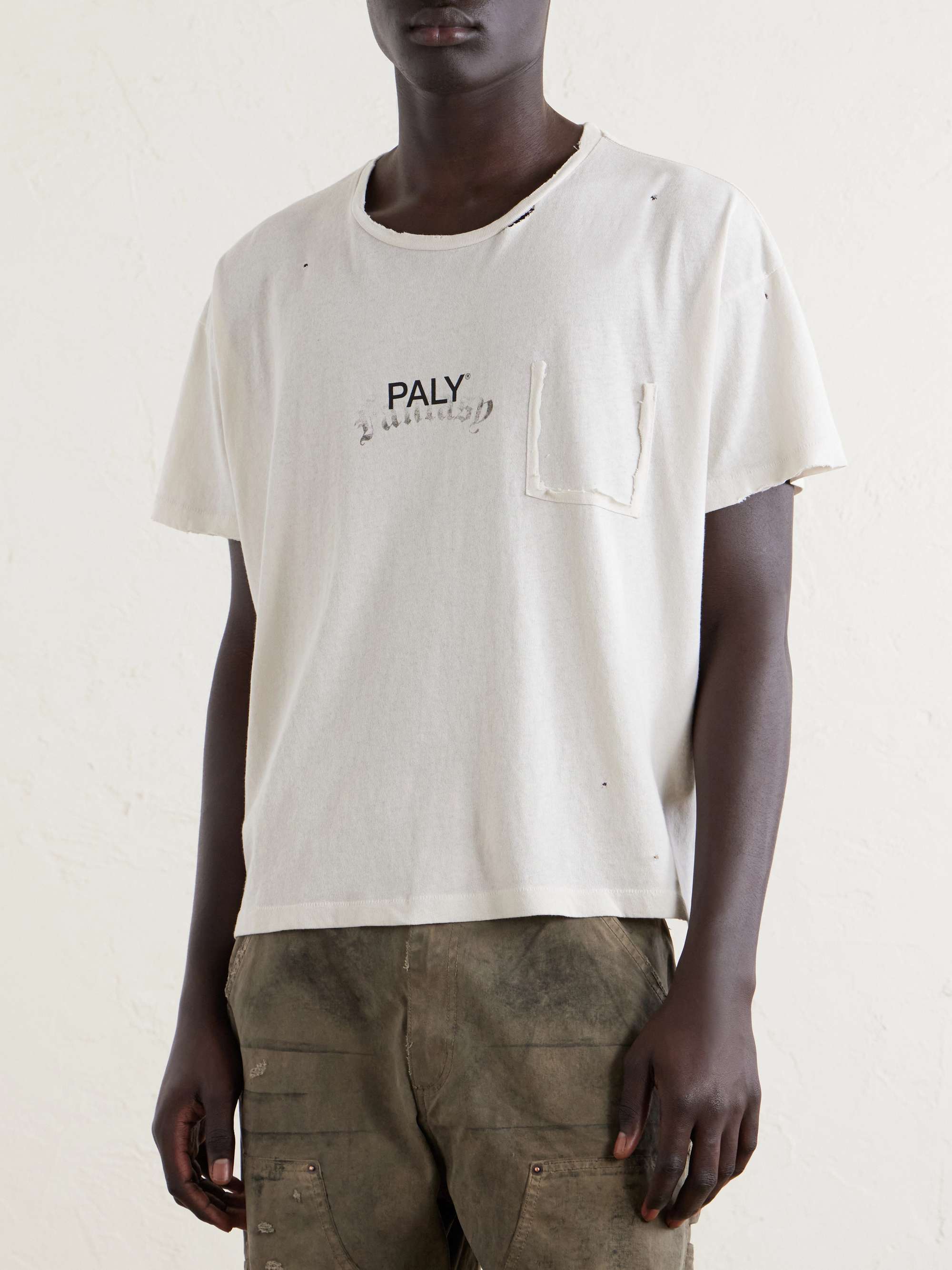 PALY HOLLYWOOD 